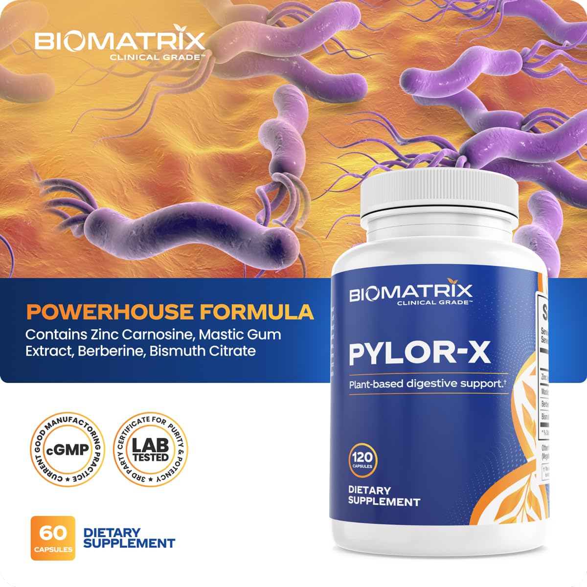 BioMatrix Pylor-X Gut Health Supplement – Mastic Gum, Berberine, Zinc Carnosine & Bismuth Salts for Gastric Support, Digestive Comfort, Stomach Lining Protection - (120 Capsules) 30-60 Day Supply BioMatrix Au supplements