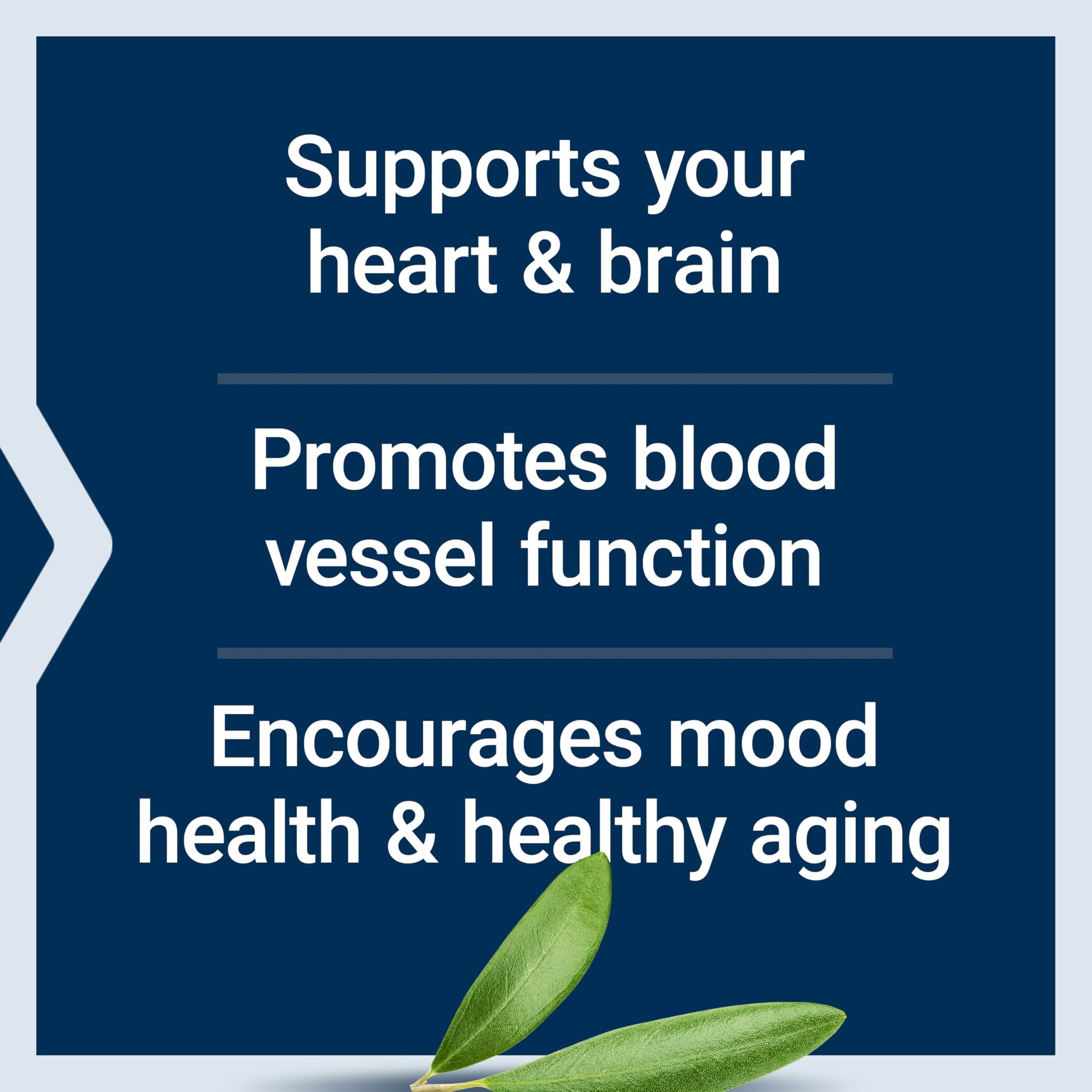 Life Extension Super Omega-3 EPA/DHA Fish Oil, Sesame Lignans & Olive Extract – Heart Health, Brain Health, Inflammation Health Support, Gluten-Free, Enteric-Coated, Non-GMO, 120 Softgels Life Extension Au supplements