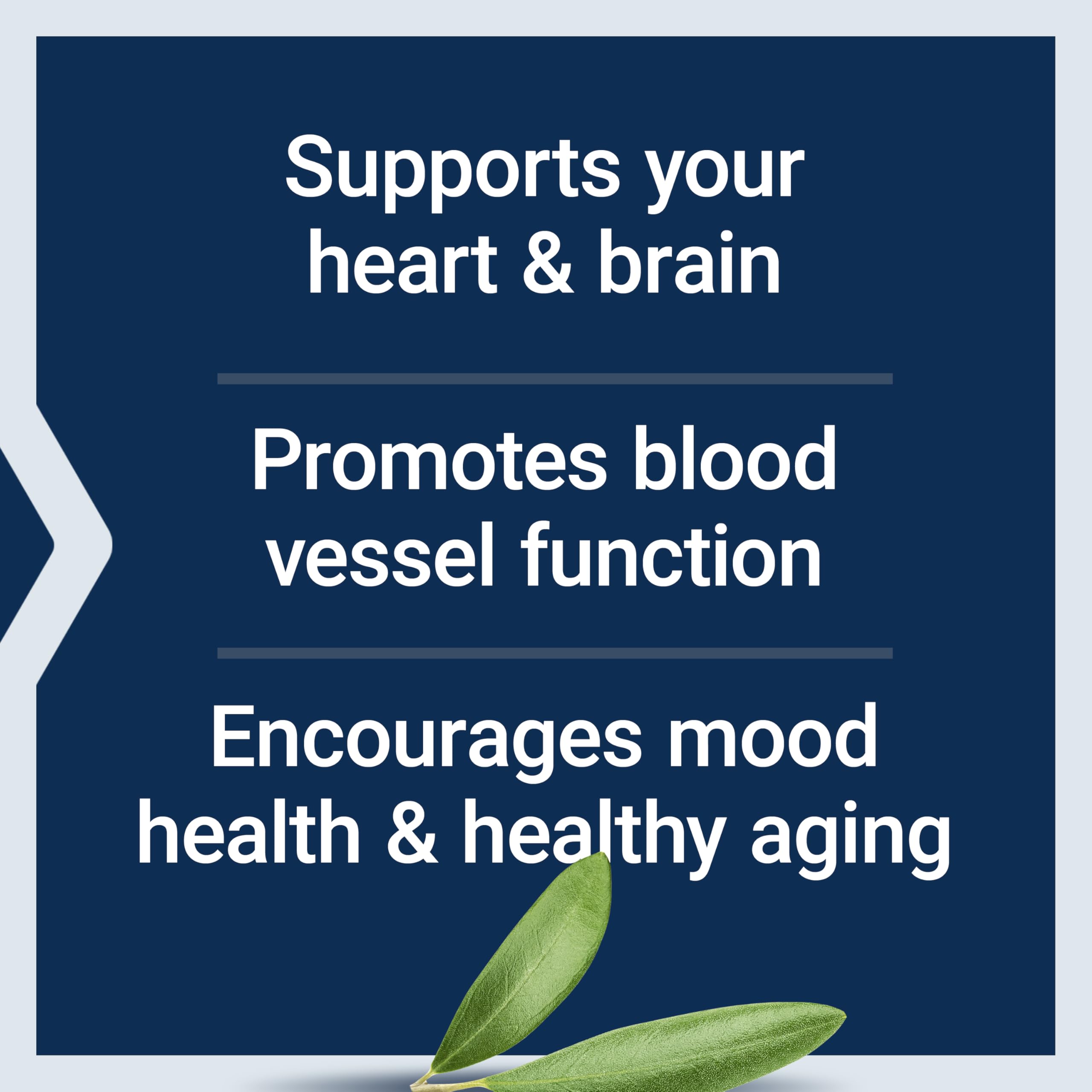 Life Extension Super Omega-3 EPA/DHA Fish Oil, Sesame Lignans & Olive Extract – Heart Health, Brain Health, Inflammation Health Support, Gluten-Free, Enteric-Coated, Non-GMO, 120 Softgels Life Extension Au supplements