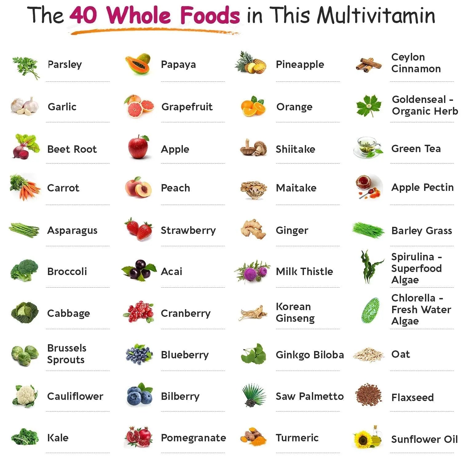 Wholesome Wellness Whole Food Multivitamin for Women - Natural Multi Vitamins, Minerals, Organic Extracts - 120 Tablets Wholesome Wellness Au supplements
