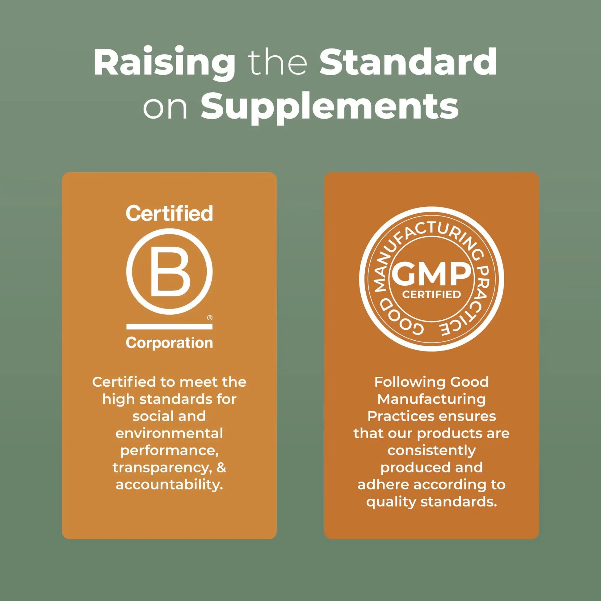 MaryRuth Organics Reishi Vegan Mushroom Supplement | Ultra Absorption Liposomal | Immune Support with 200mg Beta-Glucans, Vegan |Full Spectrum Reishi Mushrooms Fruiting Body | 7.6 oz, MARYRUTH'S Au supplements