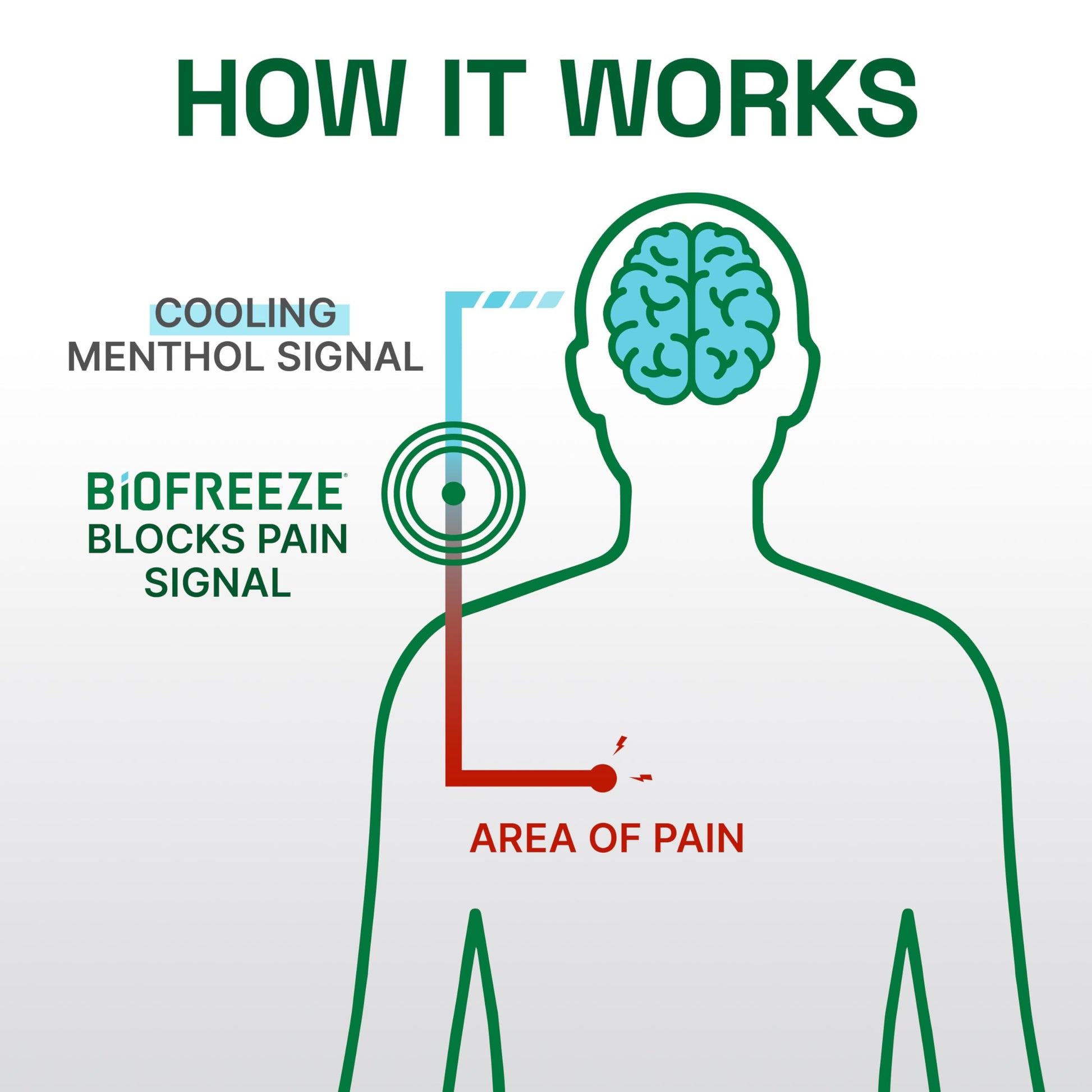Biofreeze Professional Colorless Pain Relief Roll On, Knee & Simple Backache Relief, Arthritis Pain Reliever, Neck Pain Relief, Cooling Joint Pain Relief, Roll-On Menthol Gel 3 Fl Oz Biofreeze Au supplements