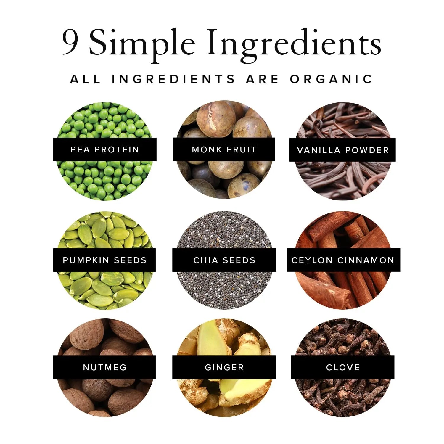 Truvani Organic Vegan Protein Powder Pumpkin Spice - 20g of Plant Based Protein Truvani Au supplements