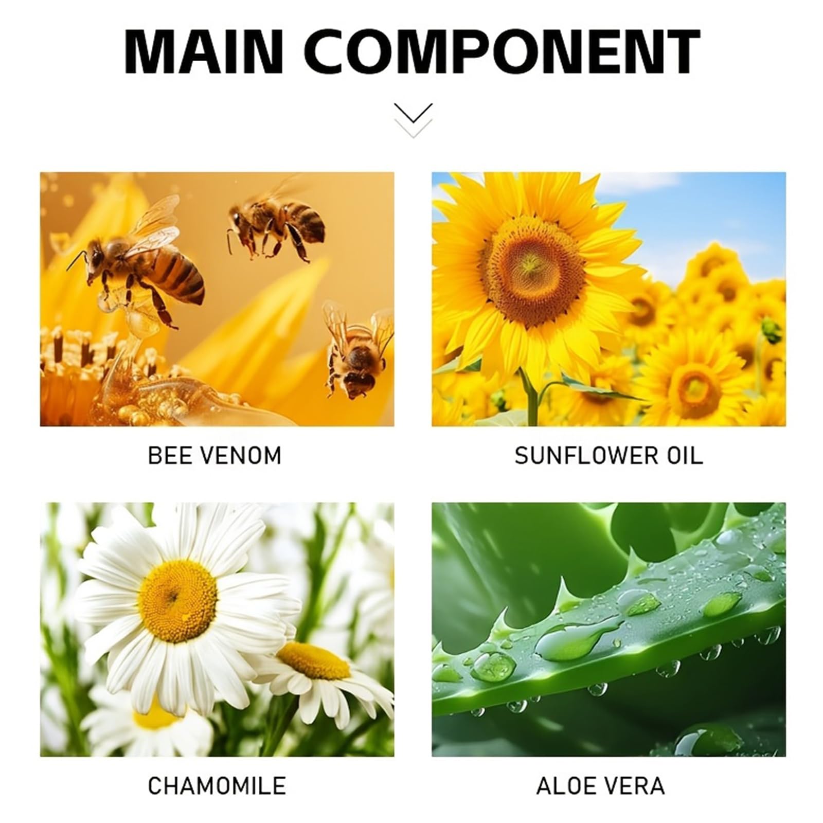 Bee Venom Joint Cream – Advanced Joint Support Cream with Honey & Chamomile, Soothing Formula for Aches & Stiffness in Knees, Hands, Back, Natural Relief Cream for Daily Joint Care (Bee venom) Generic Au supplements