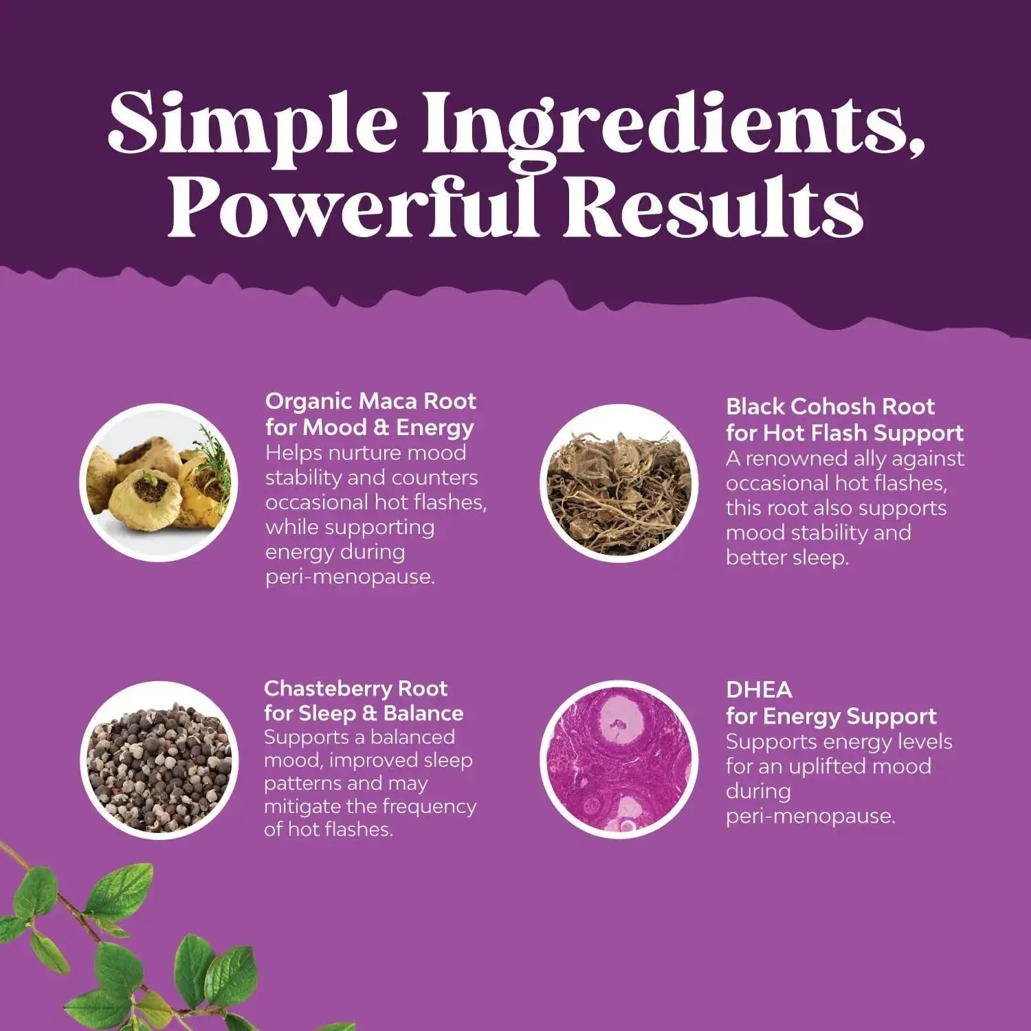 Bundle of Perimenopause Supplement with Maca Root Vitex Berry Black Cohosh for Hot Flashes Night Sweats Hormone Balance Natures Craft Au supplements