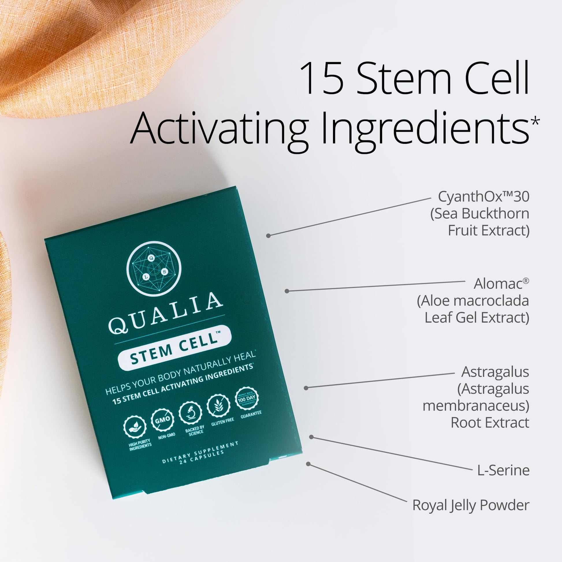 Qualia Stem Cell — Stem Cell Supplement Support with Royal Jelly, Astragalus & Sea Buckthorn | 16 Ingredients | 4 Days a Month | Helps Body Naturally heal* QUALIA LIFE SCIENCES Au supplements