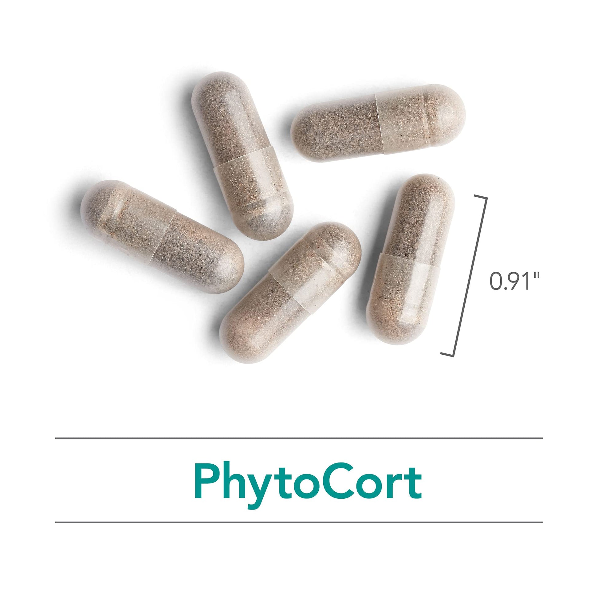 Nutricology PhytoCort Supplement - Respiratory Support, Lung Health, Lung Detox, Lung Cleanse, Healthy Breathing, Herbal Support, Reishi, Licorice, Noni, Vegetarian Capsules - 120 Count Nutricology Au supplements