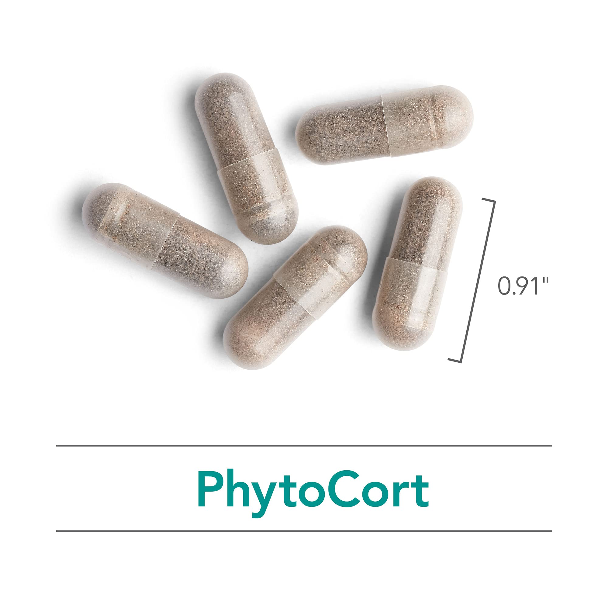 Nutricology PhytoCort Supplement - Respiratory Support, Lung Health, Lung Detox, Lung Cleanse, Healthy Breathing, Herbal Support, Reishi, Licorice, Noni, Vegetarian Capsules - 120 Count Nutricology Au supplements