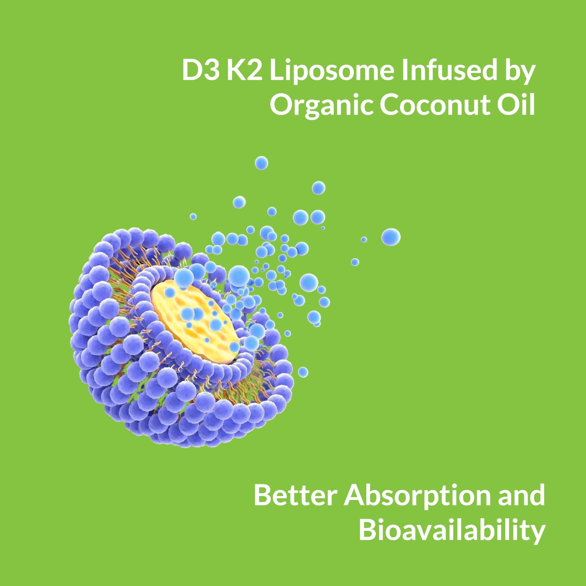 UpNourish Liposomal Vitamin D3 50000 IU (Vitamina D3 de 50000) with 1000 mcg Vitamin K, High Dose Vitamin D3 K2, Vitamin D 50000 IU with K1, K2 MK-4 and MK-7, 120 Mini Softgels UpNourish Au supplements