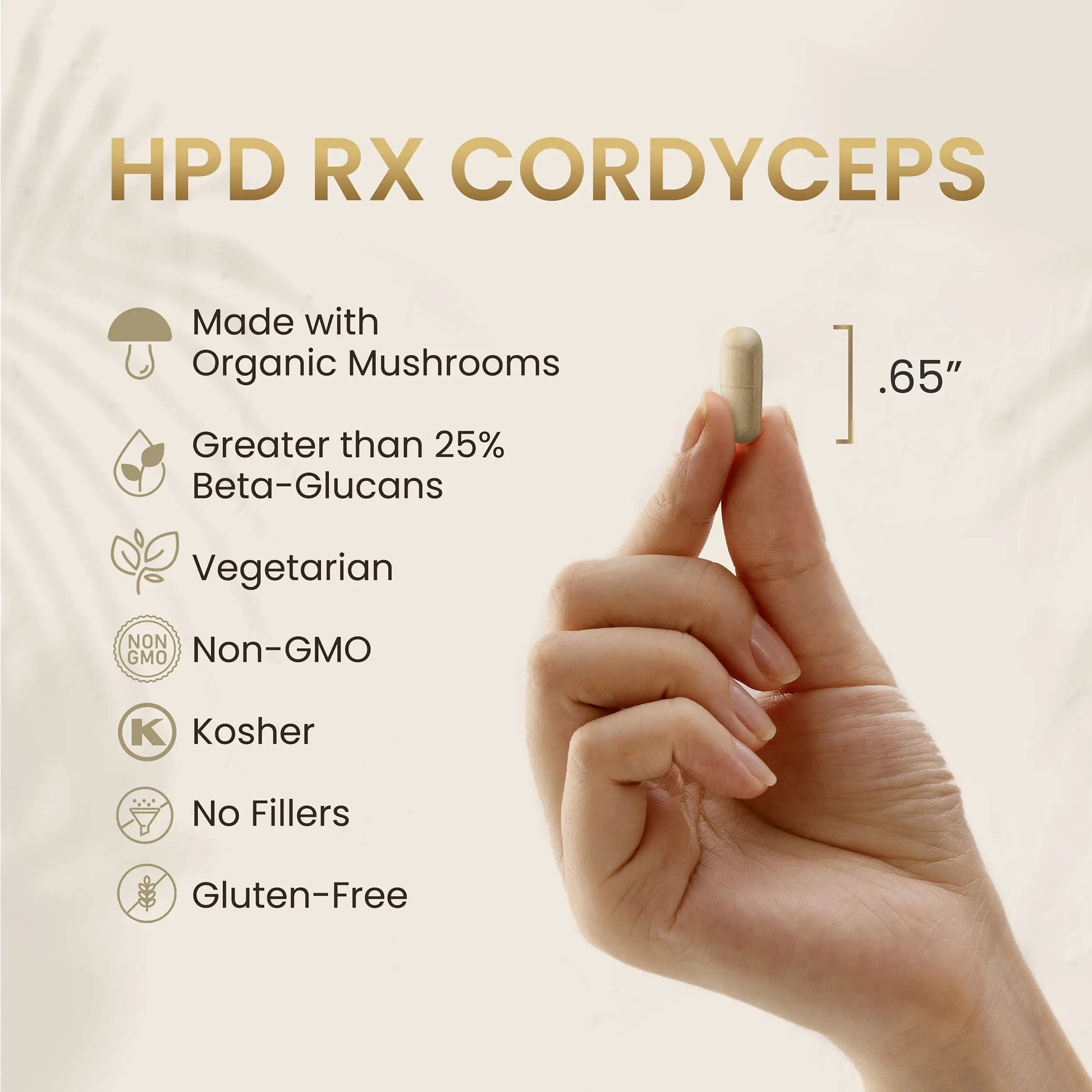 HPD Rx Premium Organic Cordyceps Mushroom Extract Performance , Pack of 2 HPD Rx Au supplements