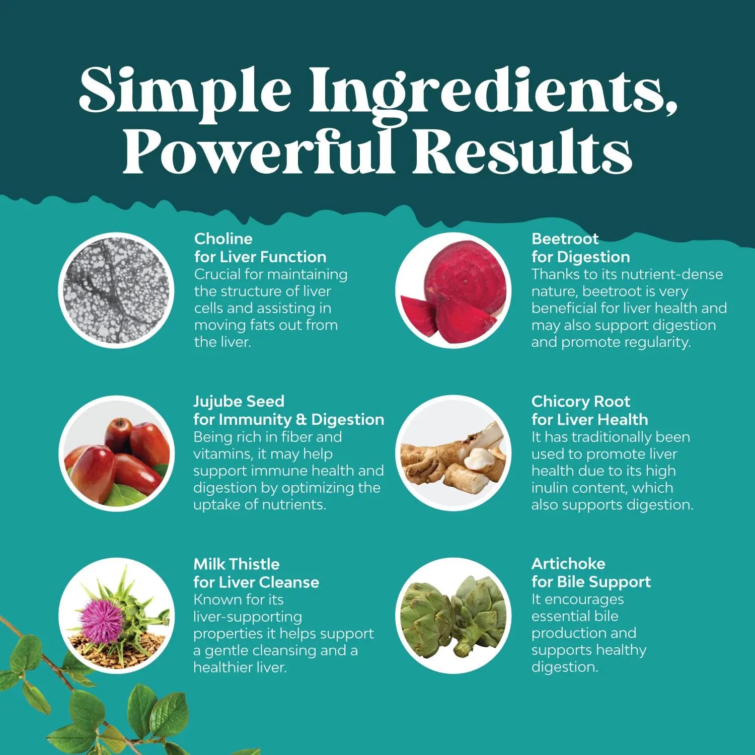 Liver Cleanse Detox & Repair Formula - Herbal Liver Support Supplement Natures Craft Au supplements