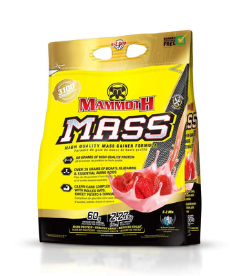 Inter-Active Nutrition Mammoth Mass Supplement, 2.27kg Strawberry Mammoth Au supplements