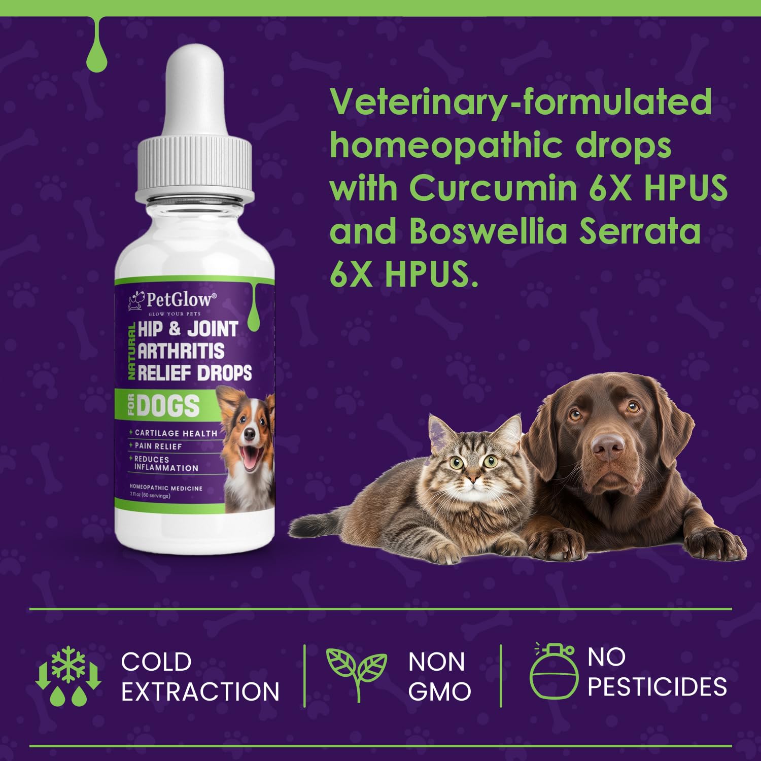 Petglow® Natural Hip & Joint Arthritis Relief Drops with Curcumin & Boswellia, Homeopathic Anti-Inflammatory Formula for Dogs, Cats & Horses, Supports Flexibility, Comfort & Mobility Naturally Petglow Au supplements