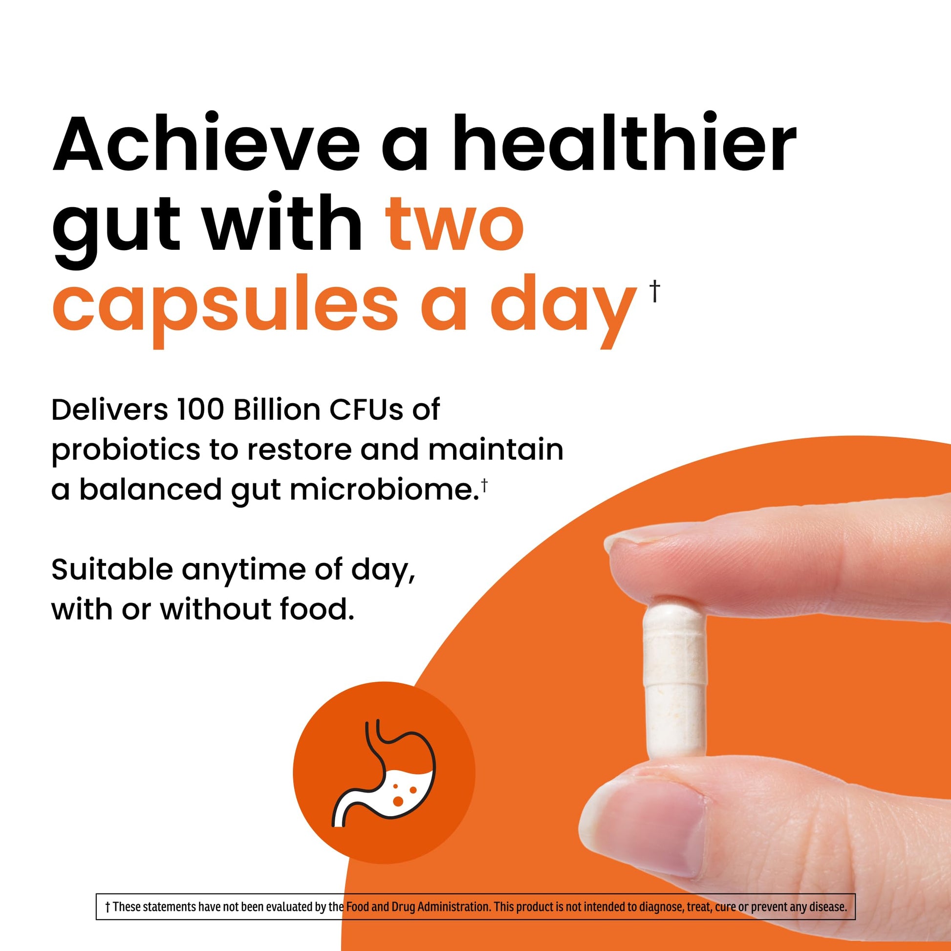 Ombre Healthy Gut Probiotics for Digestive Health 100 Billion CFU - Prebiotics and Probiotics for Women & Men with Lactobacillus Acidophilus & Digestive Enzymes, Gut Health Support, Vegan, 30 Servings Ombre Au supplements