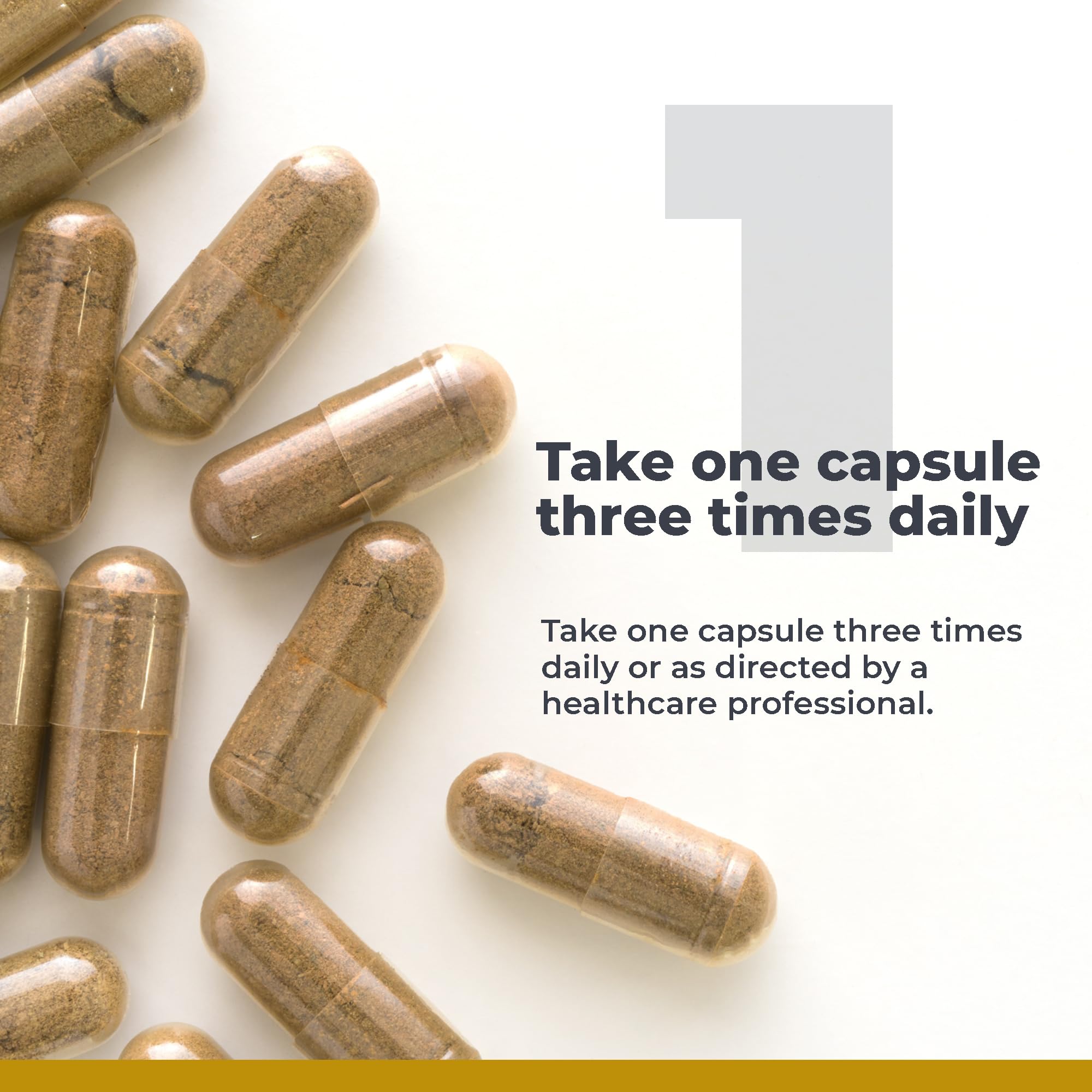 Premier Research Labs RenaVen - Premier Kidney Support for Kidney Cleanse Detox and Repair | Improve Kidney Function and Urinary Support with Fermented Cordyceps - 60 Plant-Source Capsules Premier Research Labs Au supplements