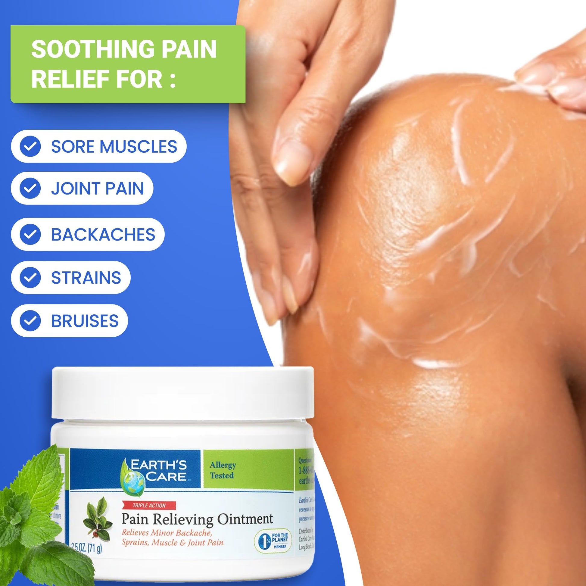 Earth's Care Triple Action Pain Relieving Ointment, No Parabens, Colors or Fragrances, Allergy-Tested 2.5 OZ. (2 Jars) Earth's Care Au supplements