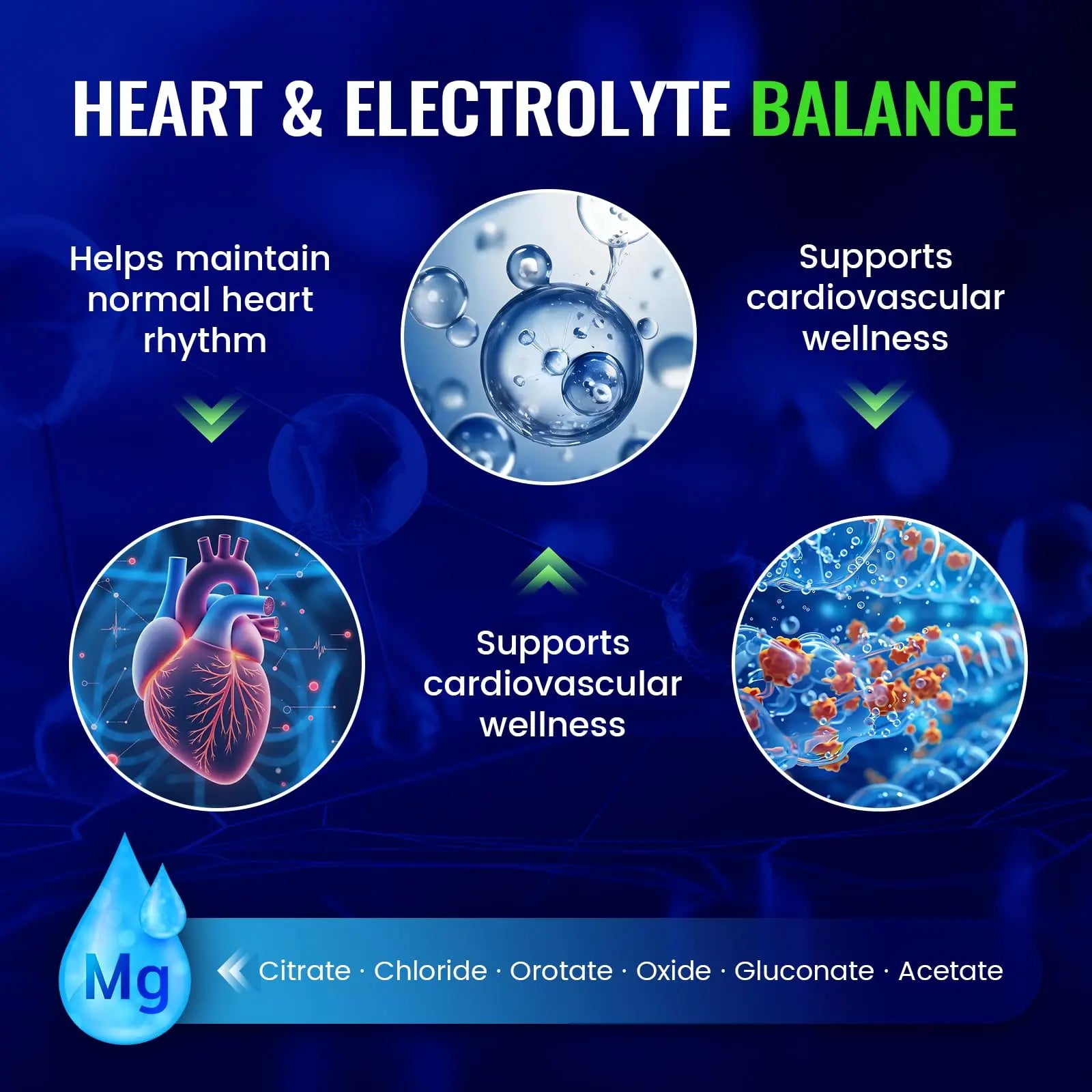 Magnesium Complex with 15 Types Magnesium Glycinate Citrate Malate Taurate Oxide Carbonate Chloride Orotate Magnesio Muscle, Heart, Relaxation & Nerves 120 Vegan Capsules, 60-Day Supply Ashenutri Au supplements