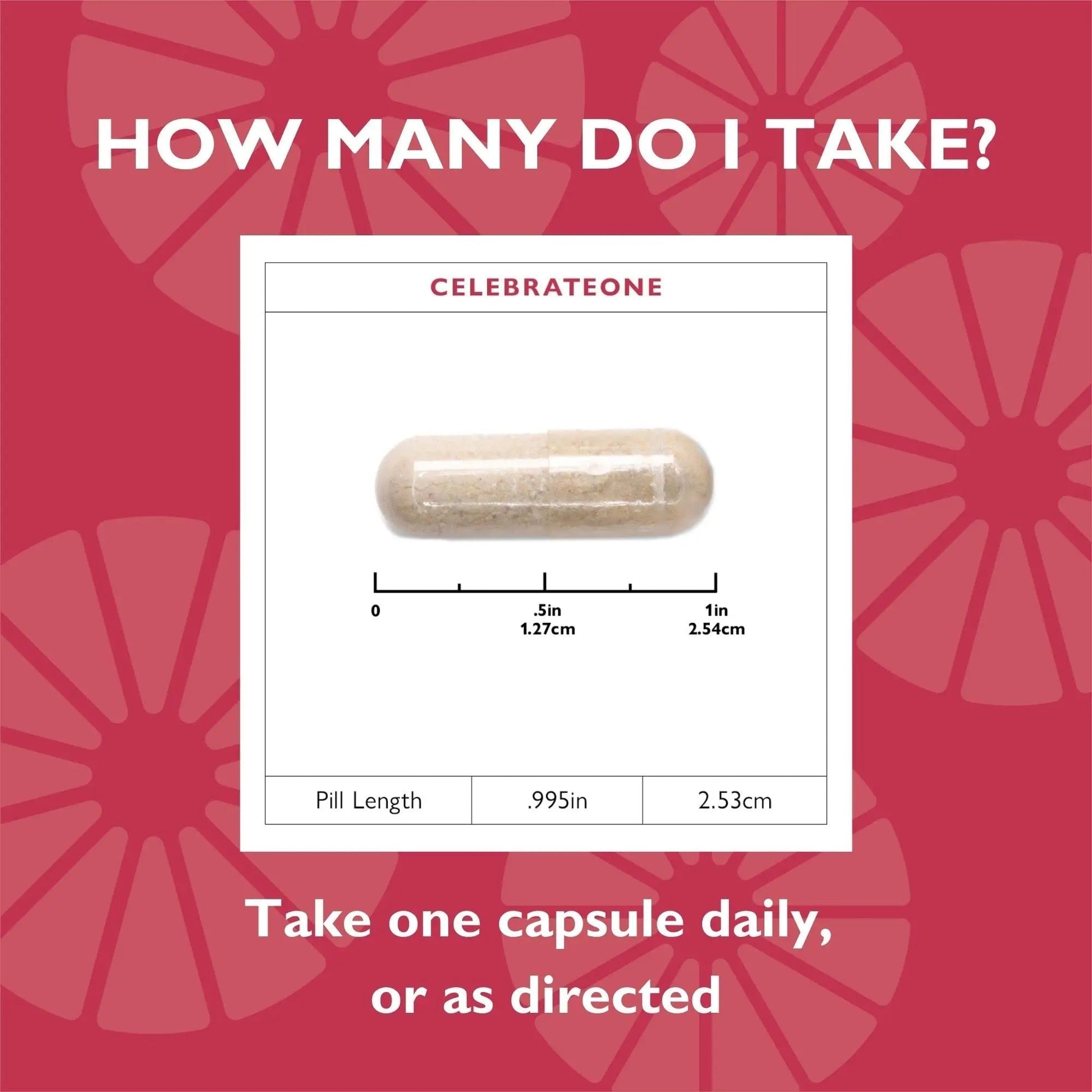 Celebrate Vitamins CelebrateONE, Iron Free - Once Daily Bariatric Multivitamin, Essential Vitamins & Minerals Celebrate Bariatric Supplements Au supplements