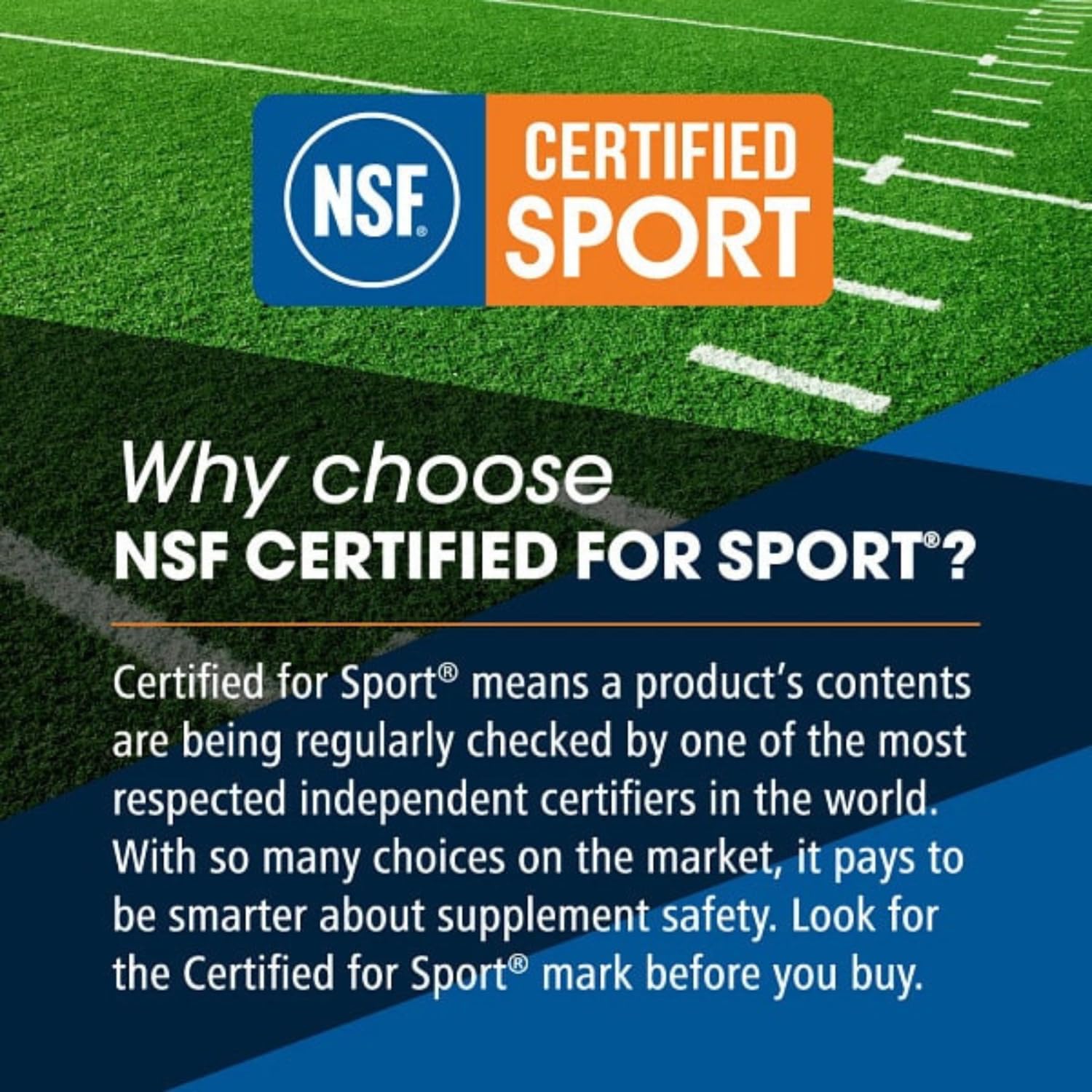 MASF Smashin' Reds Organic Superfood Supplements - 15 Servings - NSF Sport, Super Reds for Digestive Health, Energy, Endurance, Beet Root, Maca, Turmeric, Ginger, Acai, Nitric Oxide Production MASF Au supplements