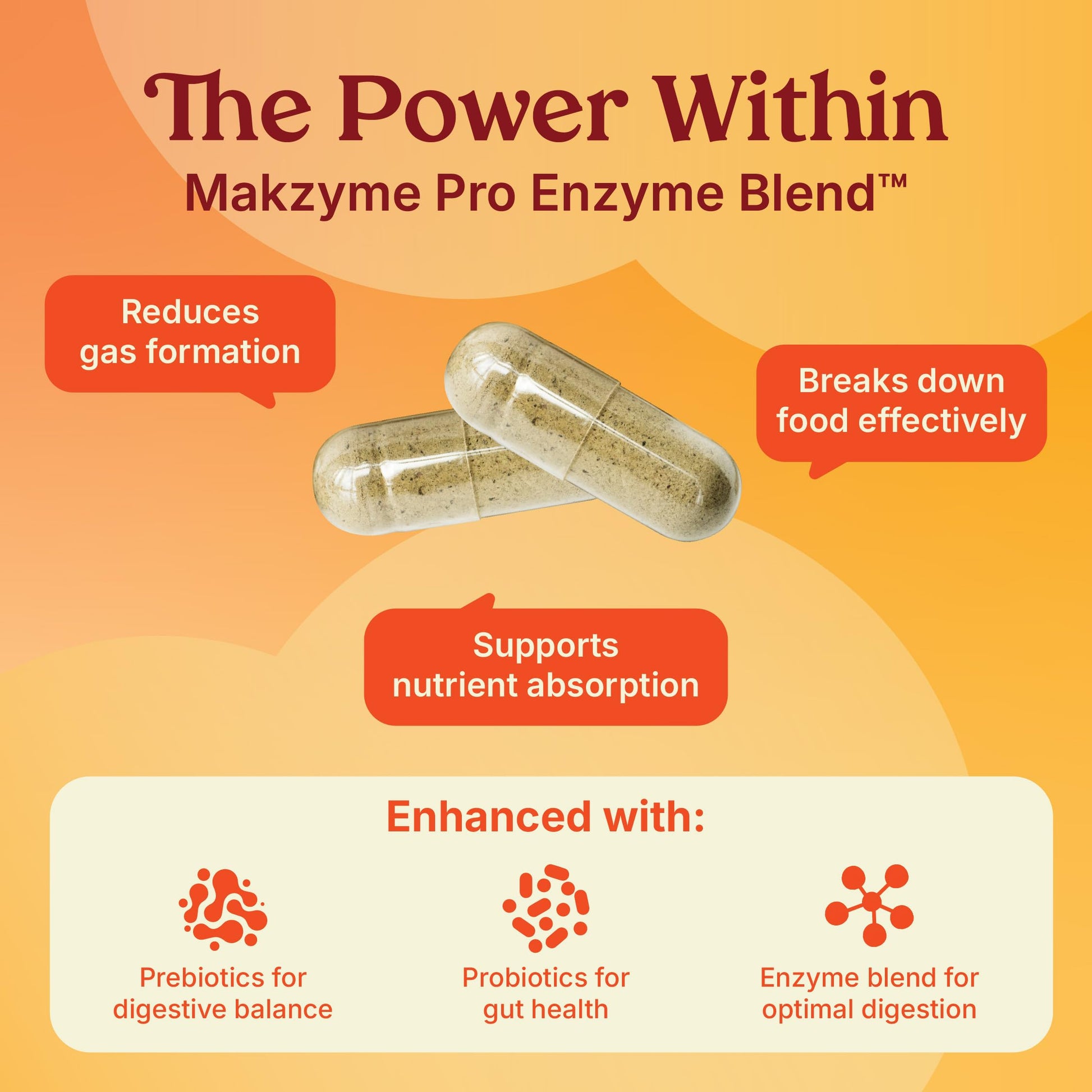Poop Like a Champion Bloating Relief Digestive Enzymes, Probiotic Powered Capsules to Support Digestive Health and Gas Relief, 60 Capsules Poop Like a Champion Au supplements