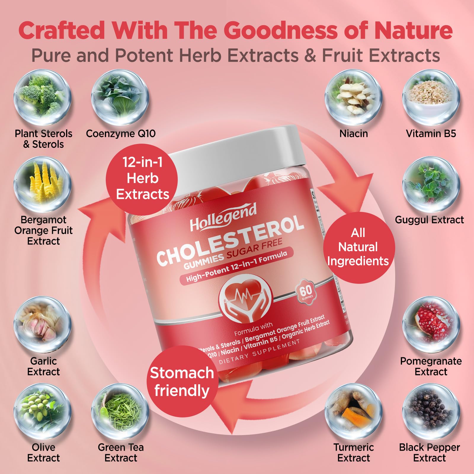HOLLEGEND Cholesterol Gummies Sugar-Free,12-in-1 Cholesterol Supplements with Plant Sterols,Citrus Bergamot,CoQ10 and Vitamins for Cholesterol Health, Vegan, Mixed Berry Flavor, 60 Counts HOLLEGEND Au supplements