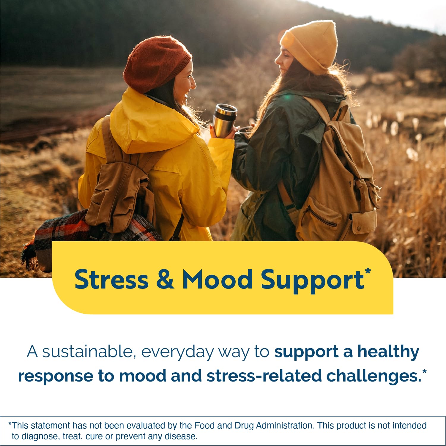 Researched Nutritionals AnxiaEase - Stress, Cortisol Management & Mood Support Supplement - Botanicals, Vitamin B6, Magnesium & 'Psychobiotic' Probiotic Strains (120 Capsules) Researched Nutritionals Au supplements