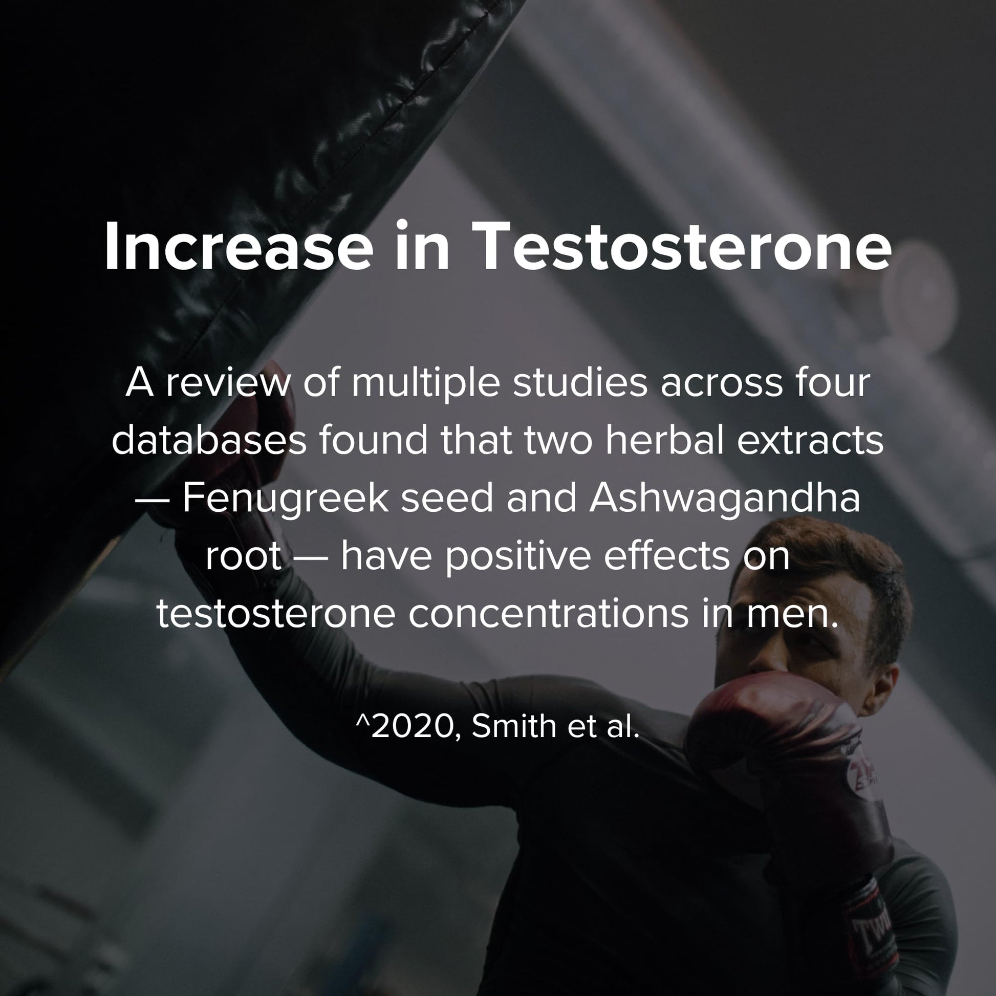 STRIVLABS Peak Potential 12-in-1 Testosterone Support for Men – Natural Strength, Energy & Muscle Builder with Tongkat Ali, Ashwagandha & Fenugreek – 90 Capsules STRIVLABS Au supplements