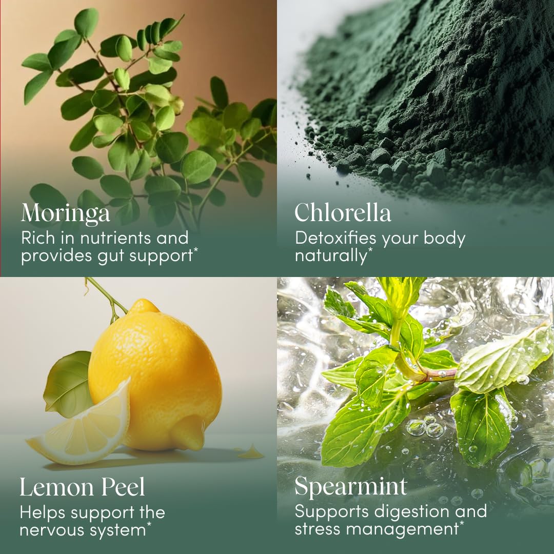 Apothékary Your Wildest Greens Herbal Liquid Drops, All-in-One Daily Superfood Supplement, Vitamin & Mineral Support, 5X Potency of Greens Powders, Sugar Free, Calorie Free, (15 Servings) 1.22oz Apothékary Au supplements