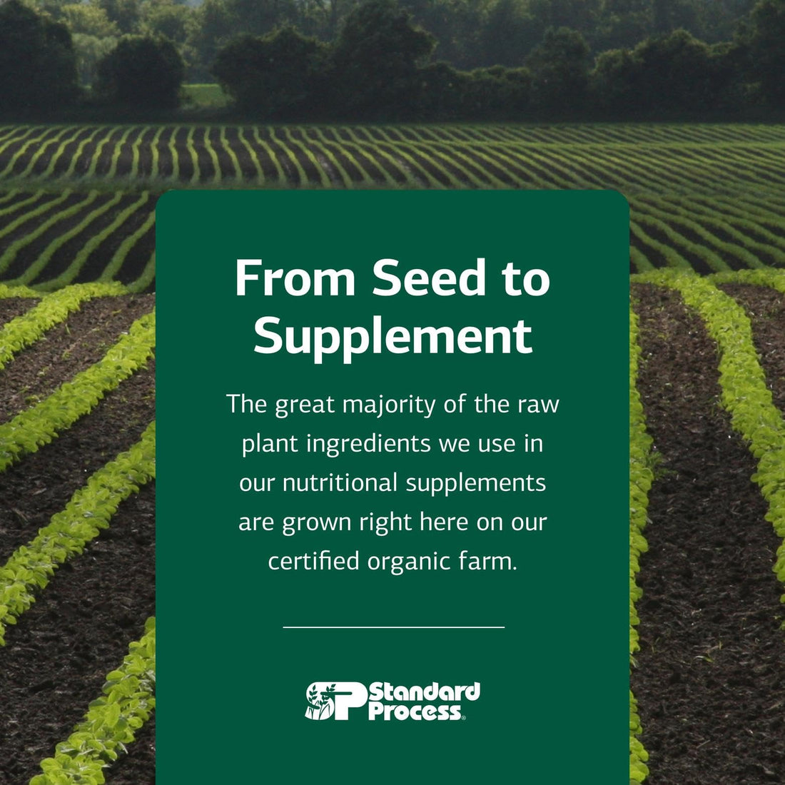 Standard Process Thymex - Cytosol Extract Dietary Supplement for Immune Health - Gluten-Free, Non-Dairy, & Non-Soy - 90 Tablets (90 Servings) Standard Process Inc. Au supplements