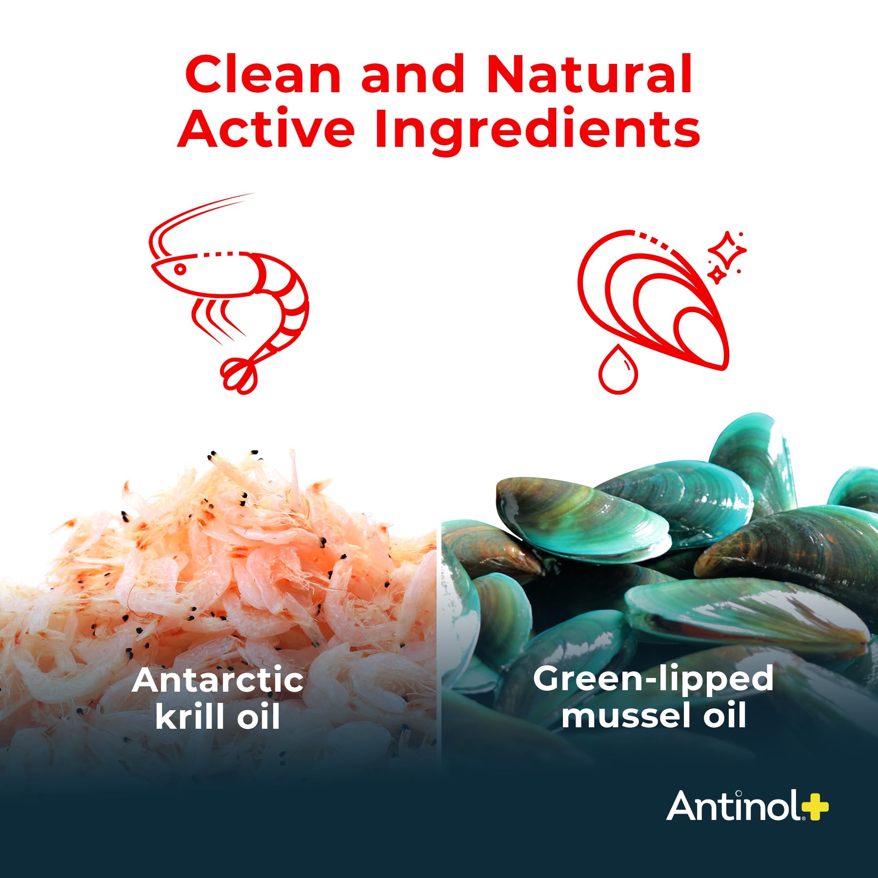 Antinol Plus, Mobility, Hip, and Joint Supplement for Cats, Green-Lipped Mussels and Krill Oil - Cat Joint Supplement, 30 Soft Gels Antinol Au supplements