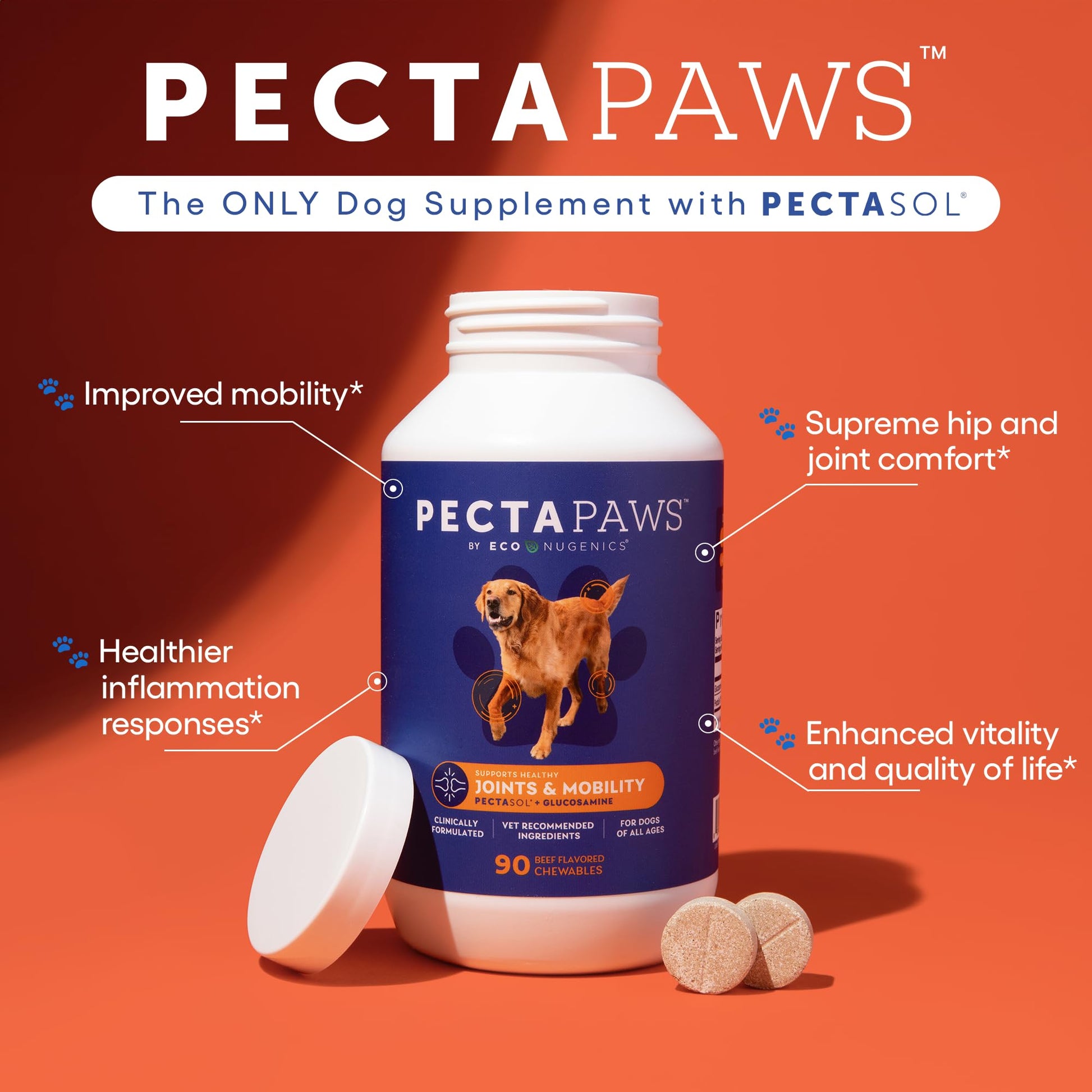 ecoNugenics PectaPaws Chewable Dog Supplements – Beef Flavor, 90 Count – PectaSol Modified Citrus Pectin + Glucosamine HCI for Dogs of All Ages, Supports Mobility, Joints, Immune Function, Pain Relief EcoNugenics Au supplements