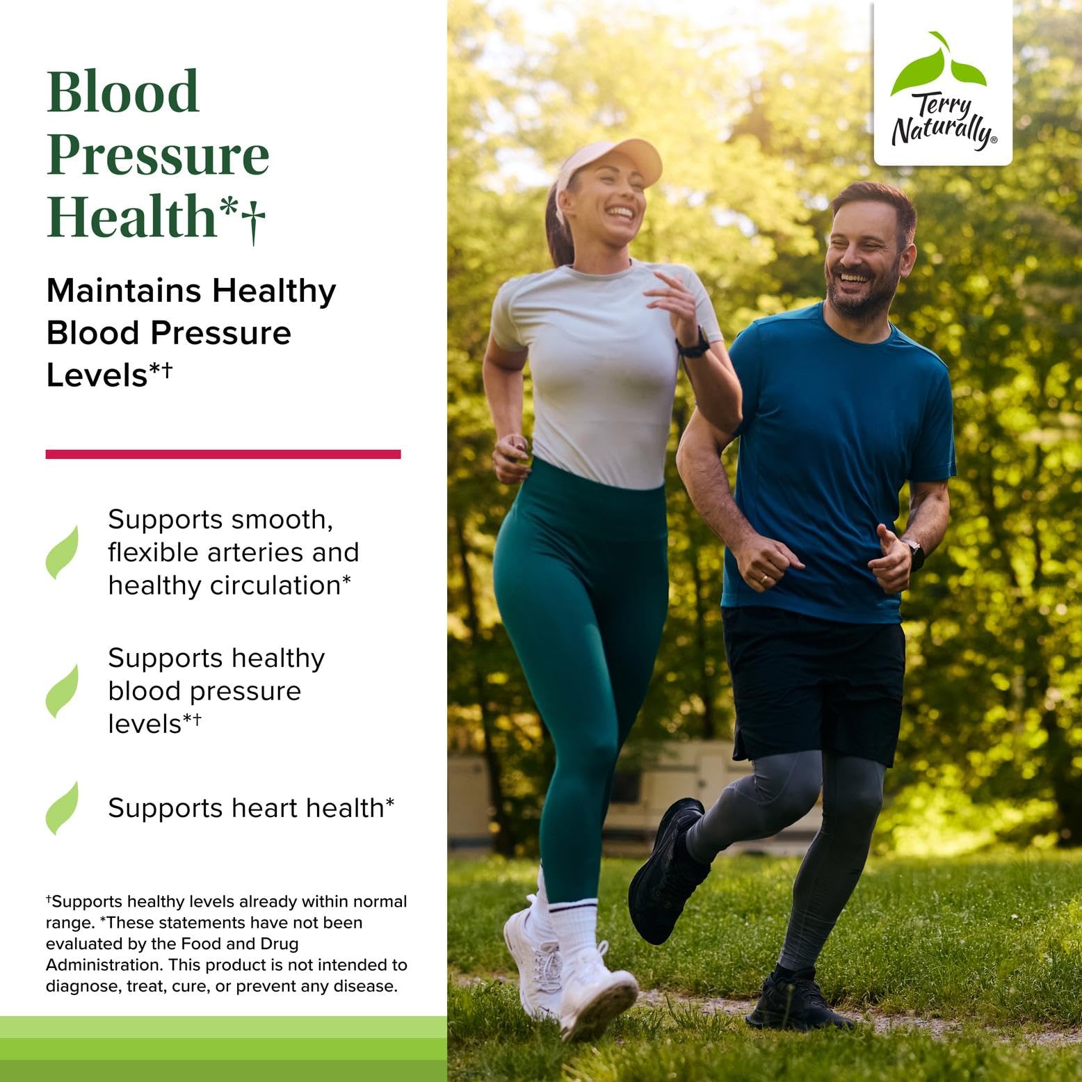 Terry Naturally Blood Pressure Health - Healthy Blood Flow & Circulation Support Supplement - Heart Health Supplement with Antioxidants - Cardiovascular Support - 60 Capsules Terry Naturally Au supplements