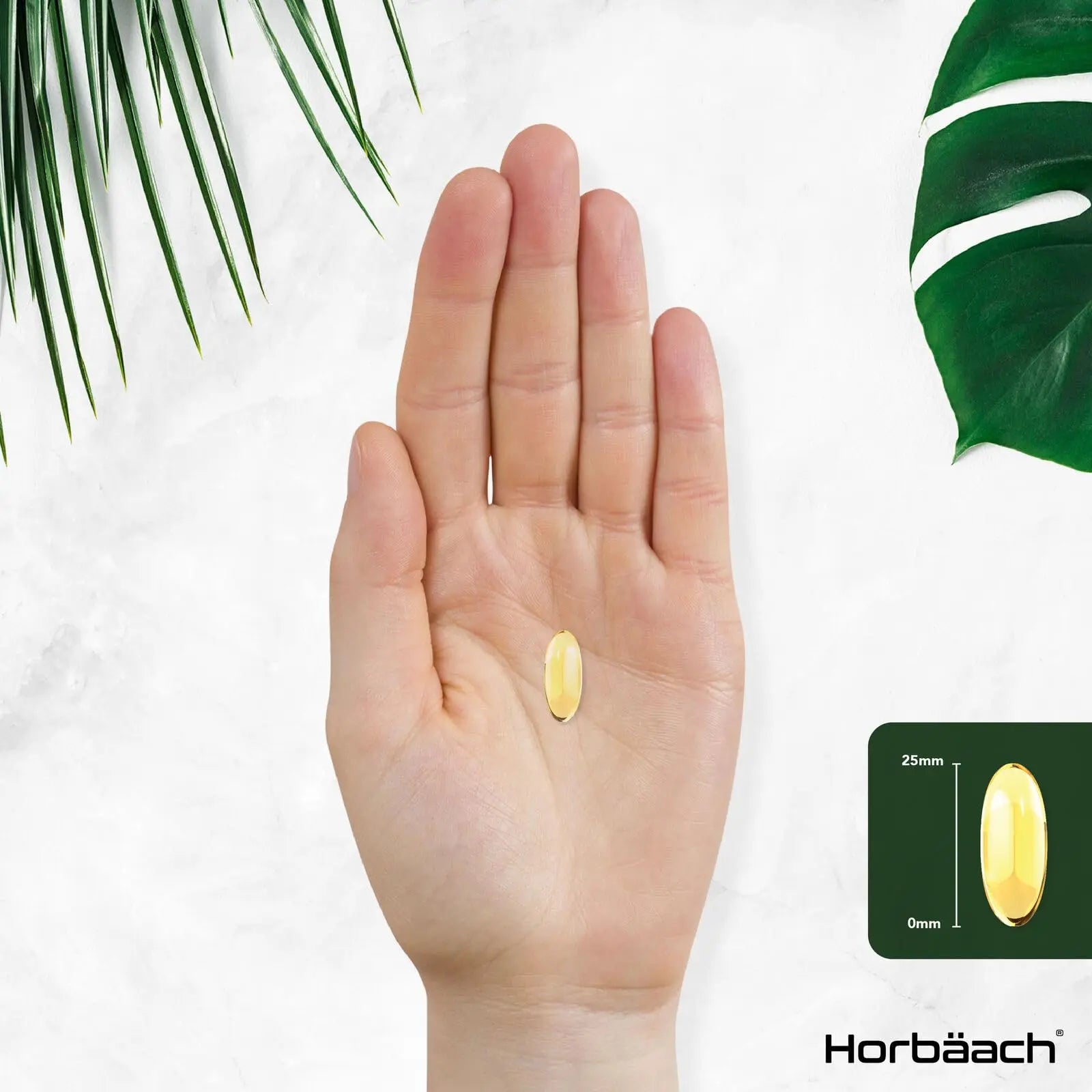 Triple Omega 3 6 9 Capsules | 180 Count | High Strength Supplement with DHA Horbäach Au supplements