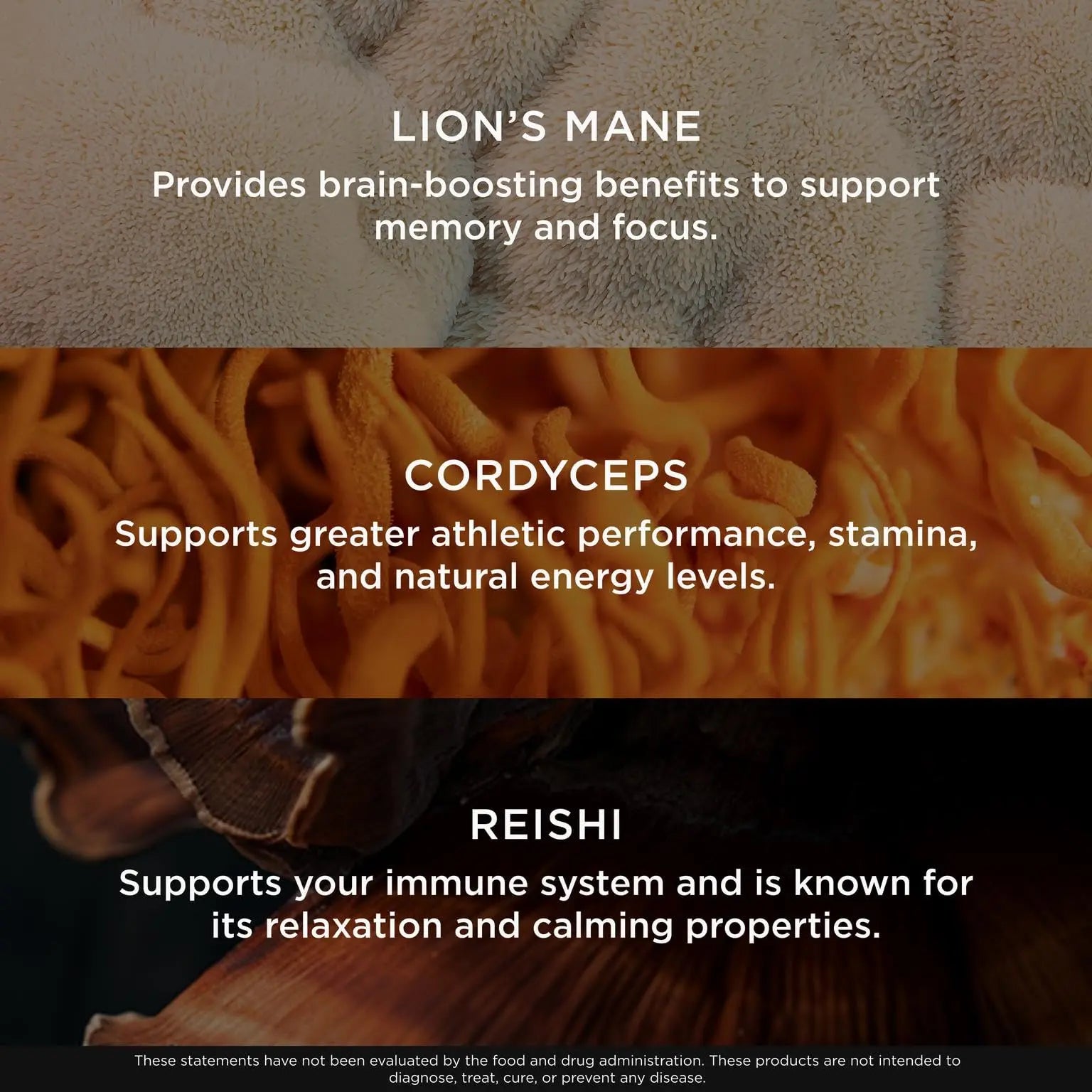 Genius Mushroom Supplement - Full-Spectrum Lion’s Mane, Cordyceps, Reishi -Daily Brain Nootropic for Energy, Focus, Memory & Overall Wellness - 180 Capsules – Organic for Mental Clarity & Performance The Genius Brand Au supplements