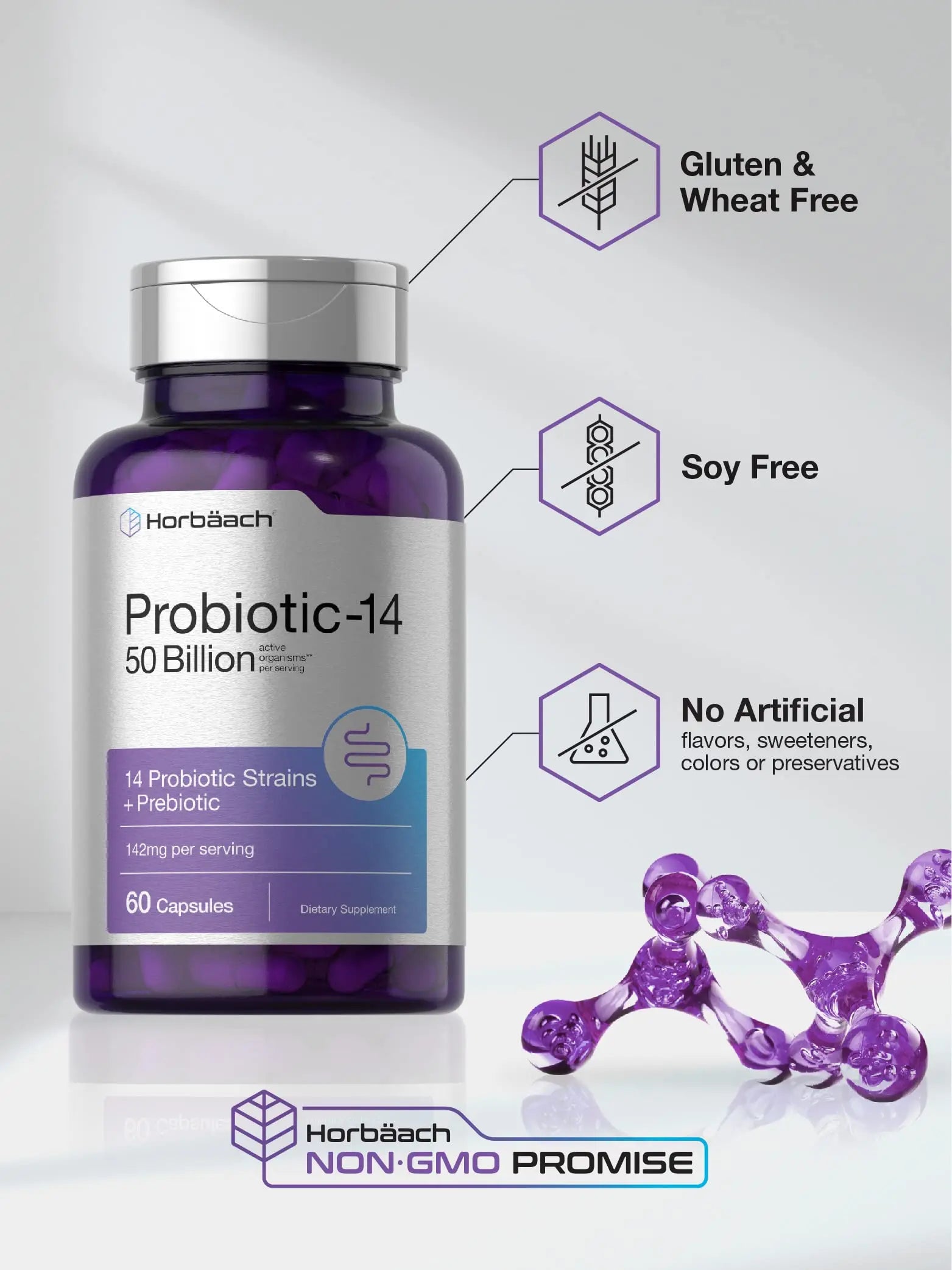 Horbäach Probiotics with Prebiotics | 60 Capsules | 50 Billion Active Organisms | Non-GMO Horbäach Au supplements