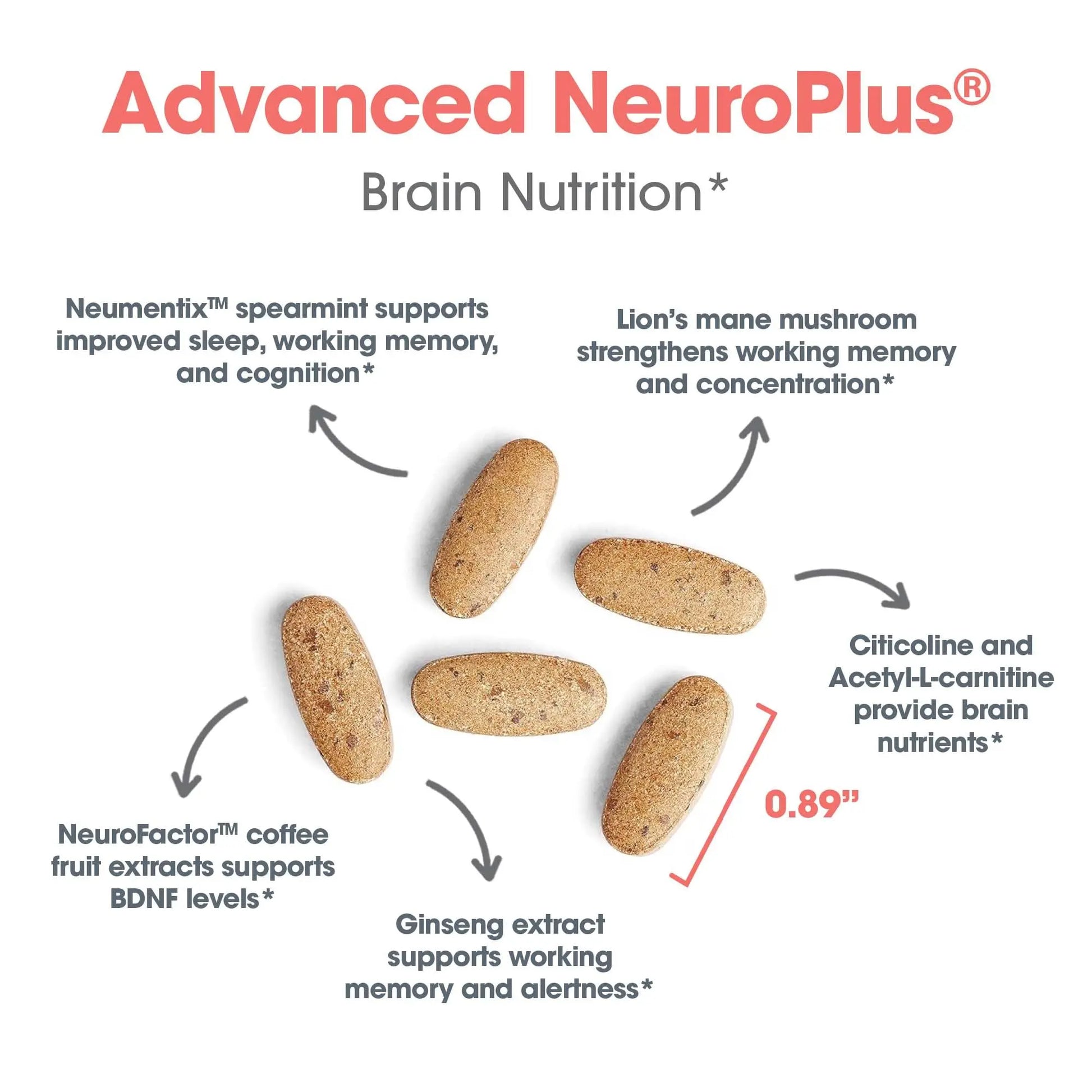 Allergy Research Group Advanced NeuroPlus - Nootropic Formula with Spearmint Extract, Lions Mane & Citicoline - Supports Working Memory Focus & Cognitive Function - 30 Servings - 90 Tablets Allergy Research Group Au supplements