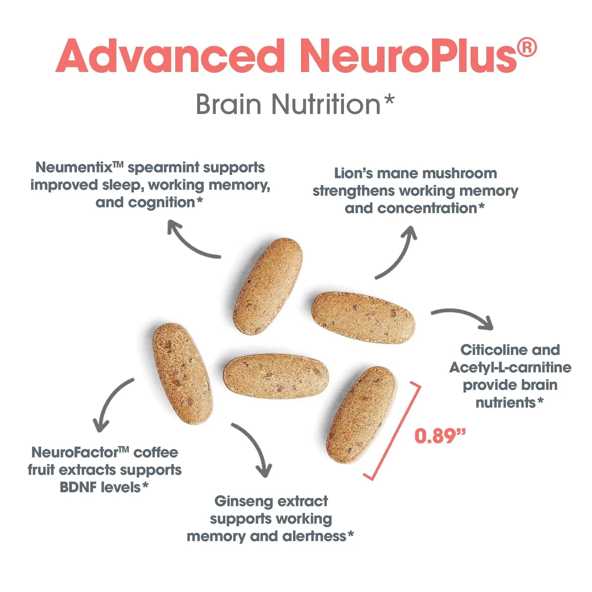Allergy Research Group Advanced NeuroPlus - Nootropic Formula with Spearmint Extract, Lions Mane & Citicoline - Supports Working Memory Focus & Cognitive Function - 30 Servings - 90 Tablets Allergy Research Group Au supplements