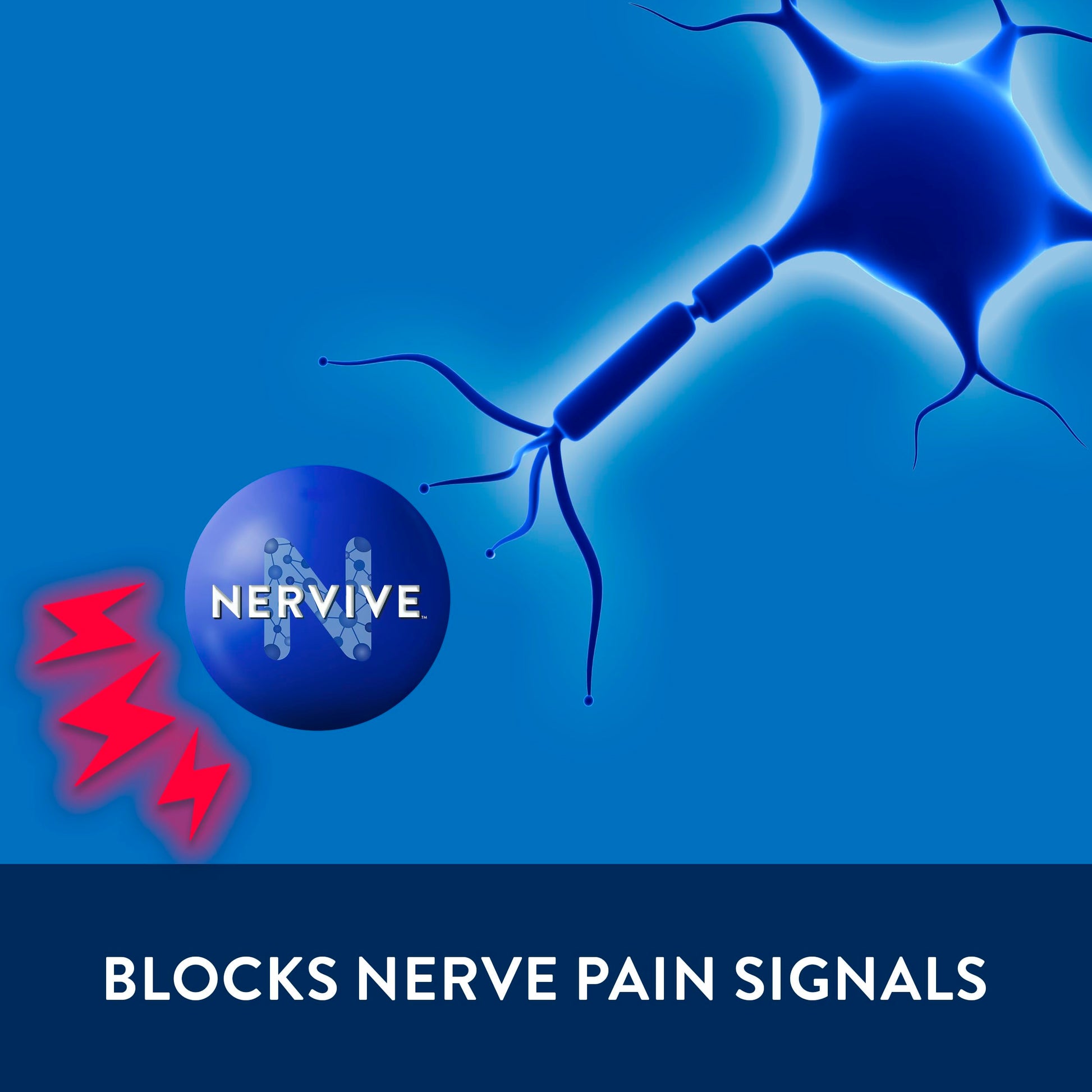 Nervive Pain Relieving Spray, Lidocaine Spray, Nervive Pain Relief, Lidocaine Topical, Foot Pain, Leg Pain, Hand Pain, Max Strength Formula, for Hard to Reach Areas, 4.5oz Nervive Au supplements