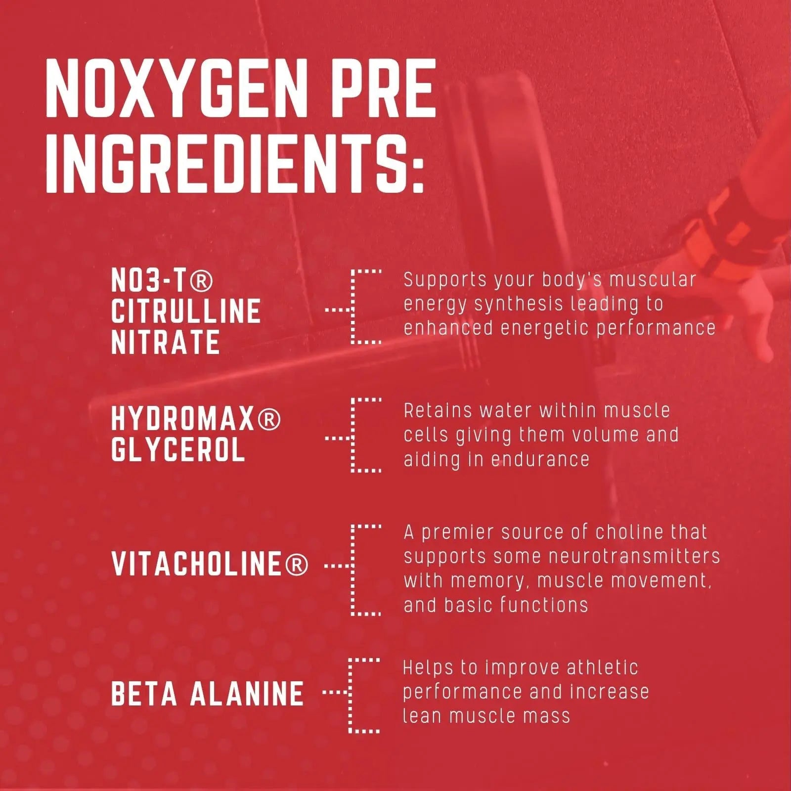 Purus Labs NOXYGEN PREWORKOUT Powder, 30 Servings (Blue Raspberry) Purus Labs Au supplements
