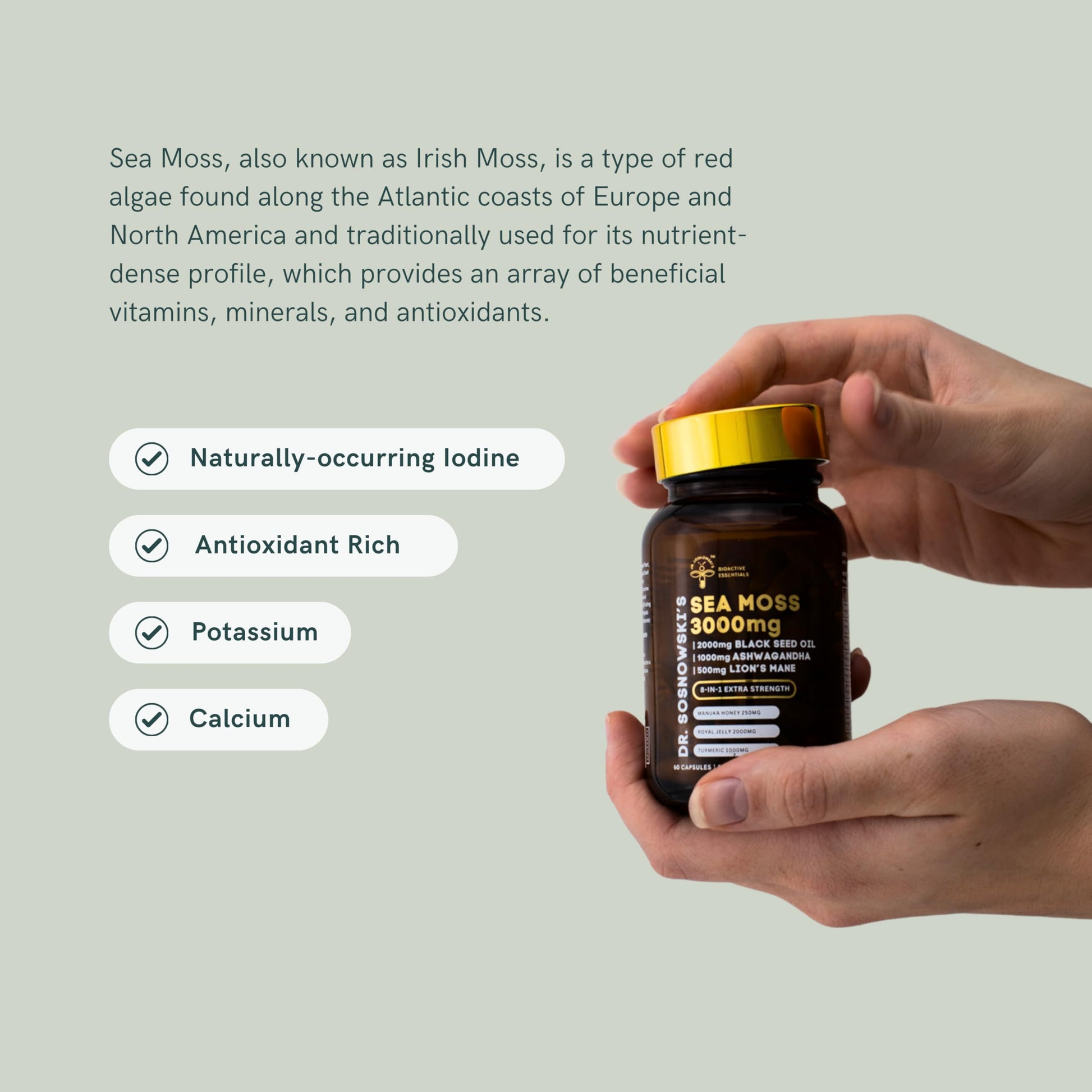 Dr Sosnowski's BioActive Sea Moss | 8-in-1 Formula Enriched with Black Seed, Ashwagandha, Turmeric, Manuka Honey, Lion's Mane, Royal Jelly, Bee Propolis Extract | 60 Capsules Dr Sosnowski's Au supplements