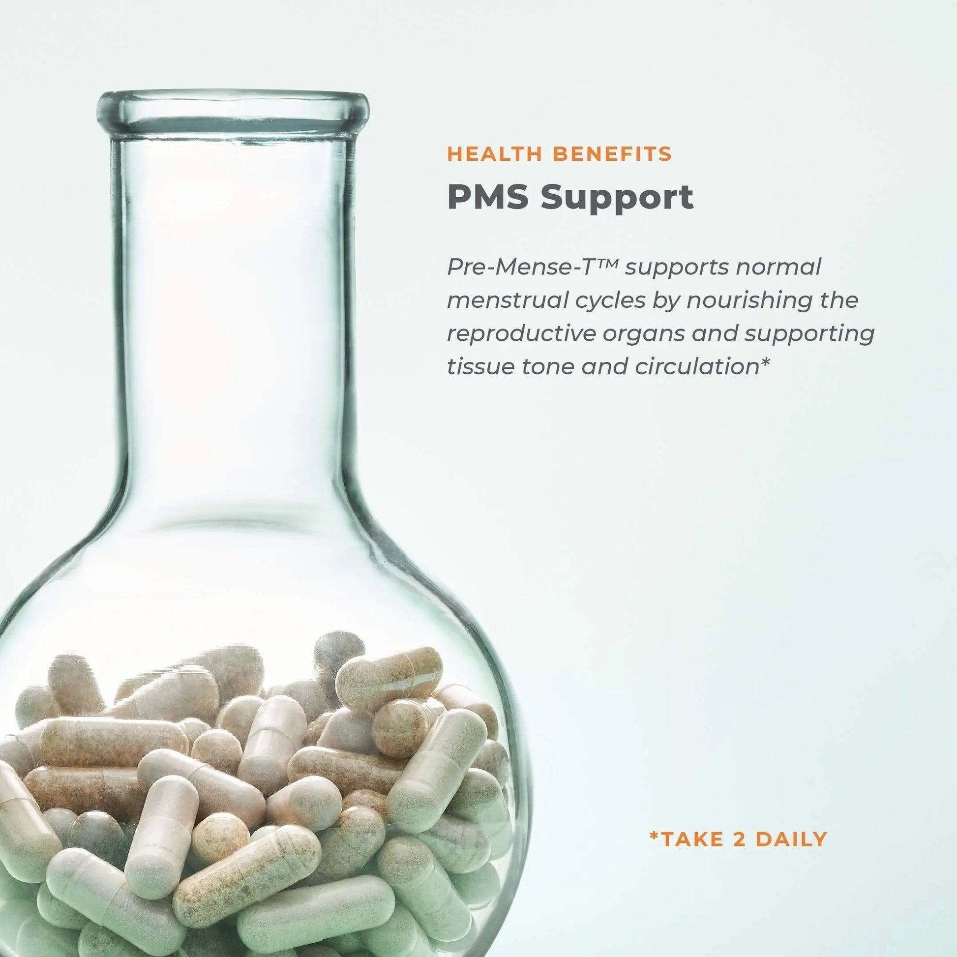 PreMense-T - PMS Relief Supplement - Ginger, Cramp Bark, Black Cohosh, Dong Quai, Chasteberry & Vitamin B6 LifeSeasons Au supplements