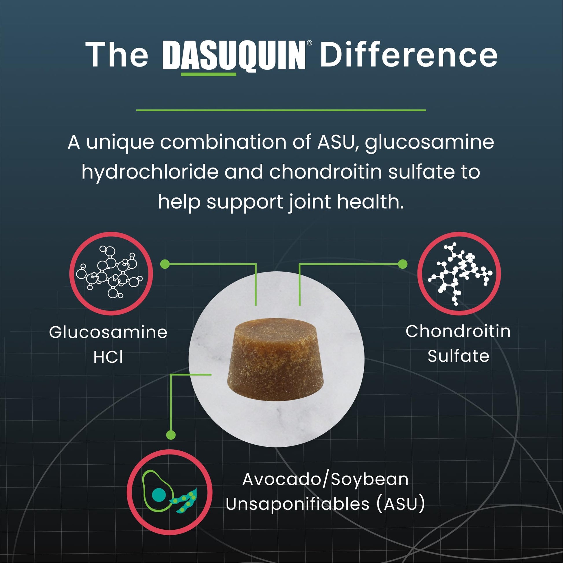 Nutramax Dasuquin Joint Health Supplement for Large Senior Dogs – for Immune Support, Skin & Coat Health, and Brain Health, 84 Soft Chews Nutramax Laboratories Au supplements