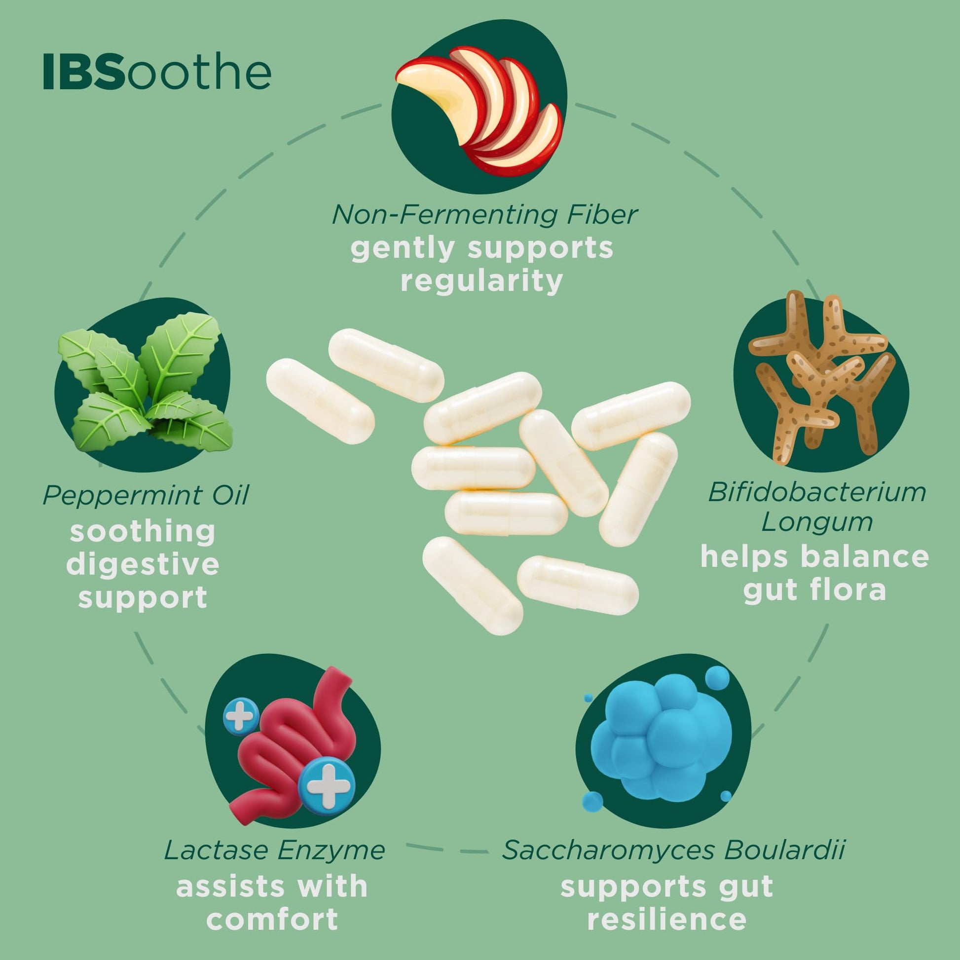 IBSoothe by Dr. Good Gut – Gut Health Supplement for Women & Men with Fiber, Probiotics, Enzymes & Peppermint Oil for Bloating Relief, Digestive Support, IBS Relief & Daily Gut Wellness – 90 Capsules DR. GOODGUT Au supplements