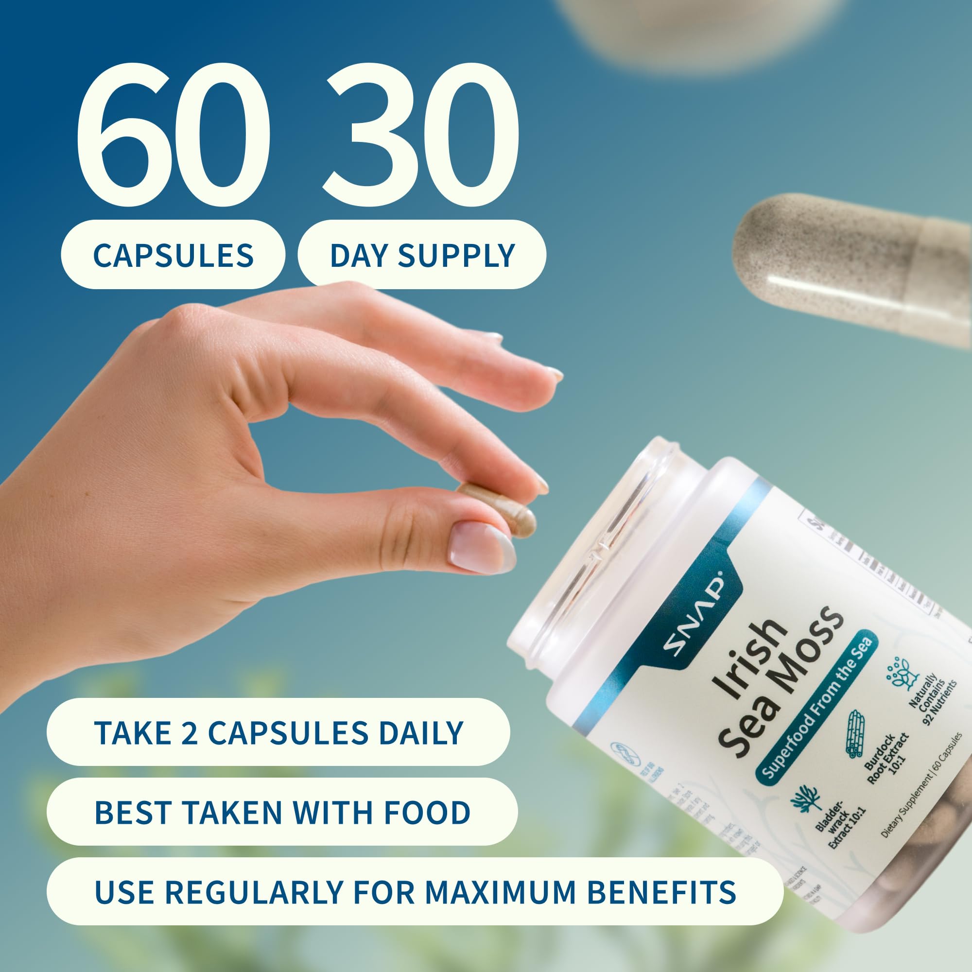 Snap Supplements Irish Sea Moss with Bladderwrack, Burdock Root & Iodine – Natural Sea Moss Supplement to Support Gut Health, Energy & Healthy-Looking Skin, 60 Vegan Capsules (1 Month Supply) Snap Supplements Au supplements