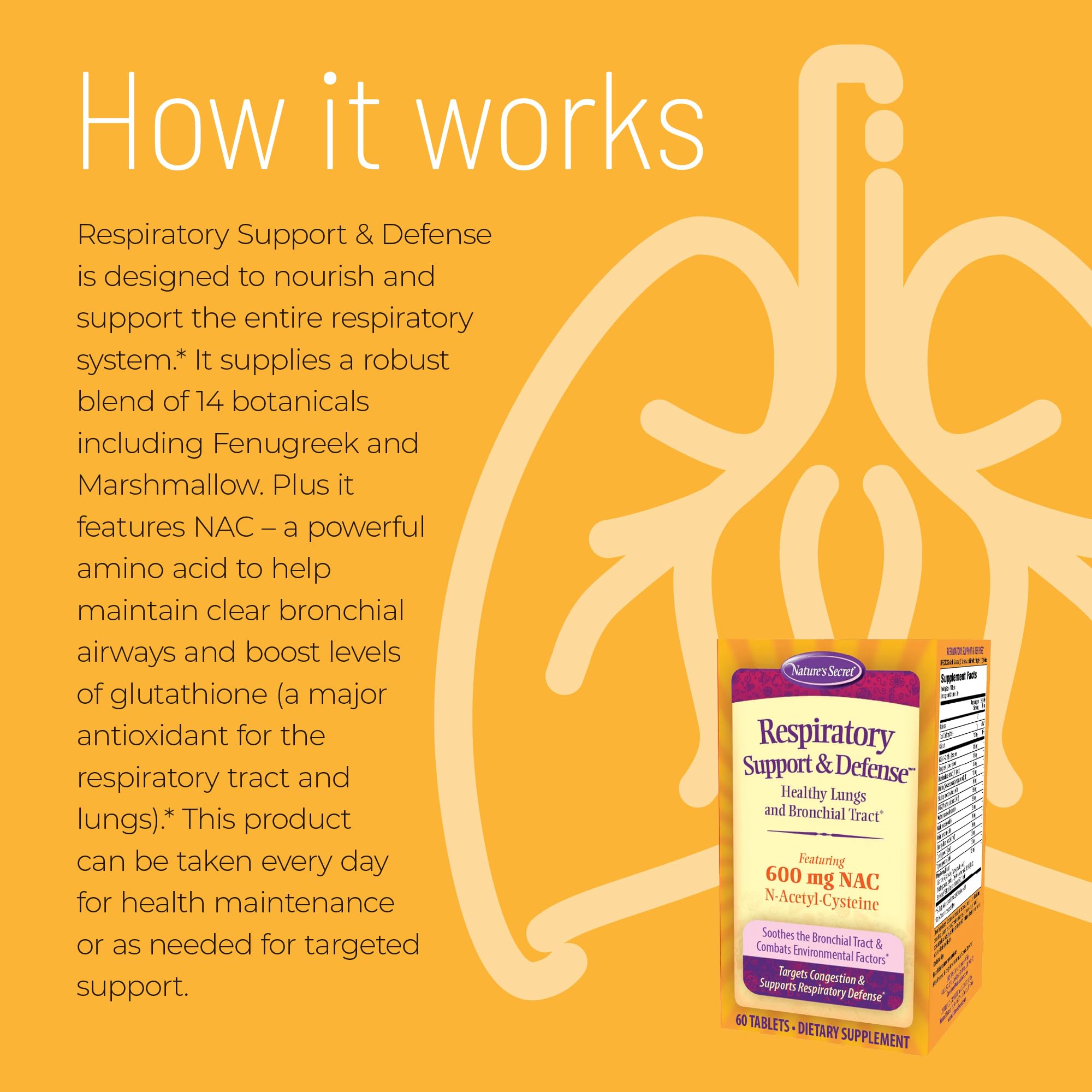 Nature's Secret Respiratory Support & Defense - 60 Tablets - Promotes Healthy Lungs & Bronchial Tract - With NAC, Fenugreek & Marshmallow - 30 Total Servings Nature's Secret Au supplements