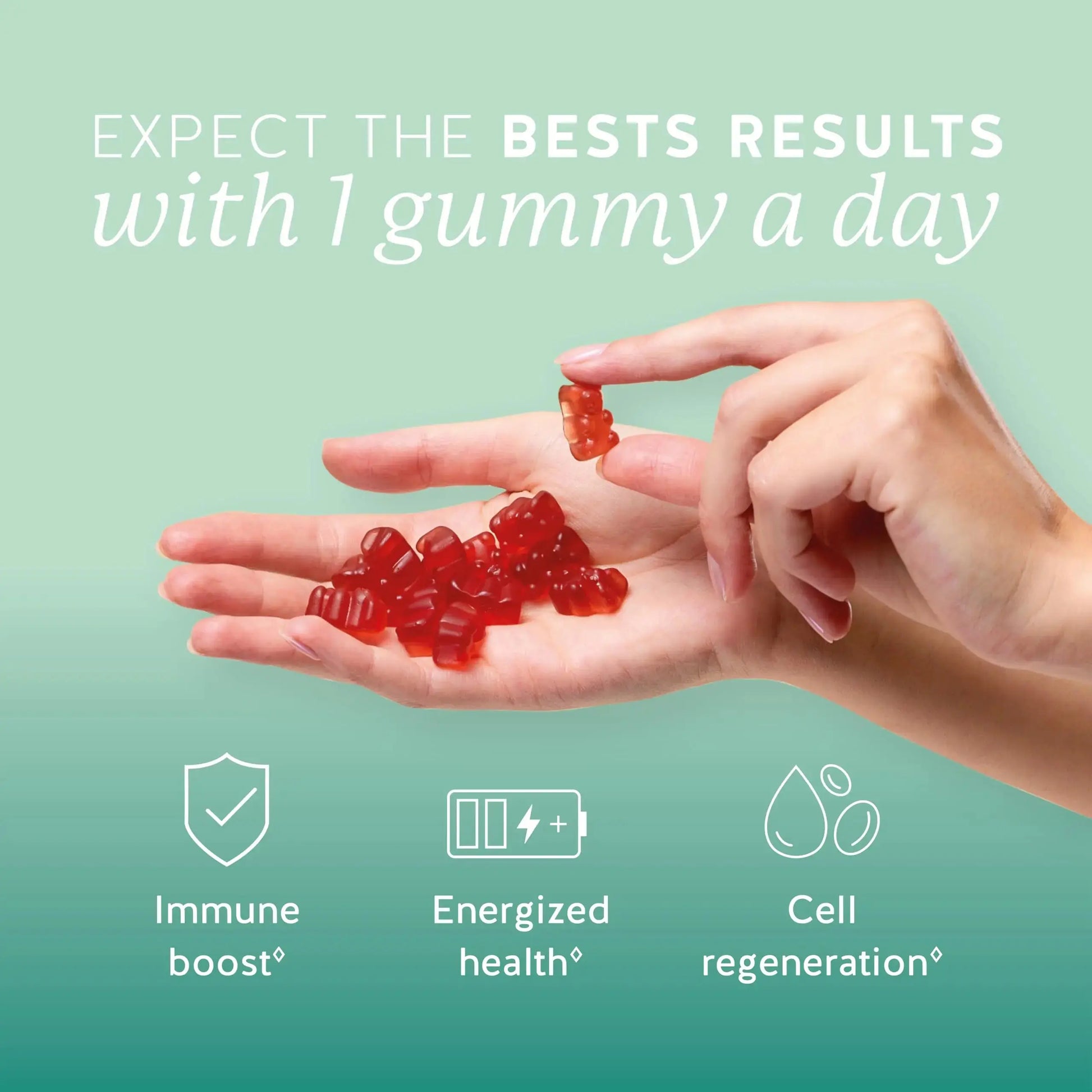 Bears with Benefits Immune Support Gummies – Vitamin C, D, B6 & B12 – Daily Immune Boost – Vegan, Naturally Flavored (30 Gummies) Bears with Benefits Au supplements