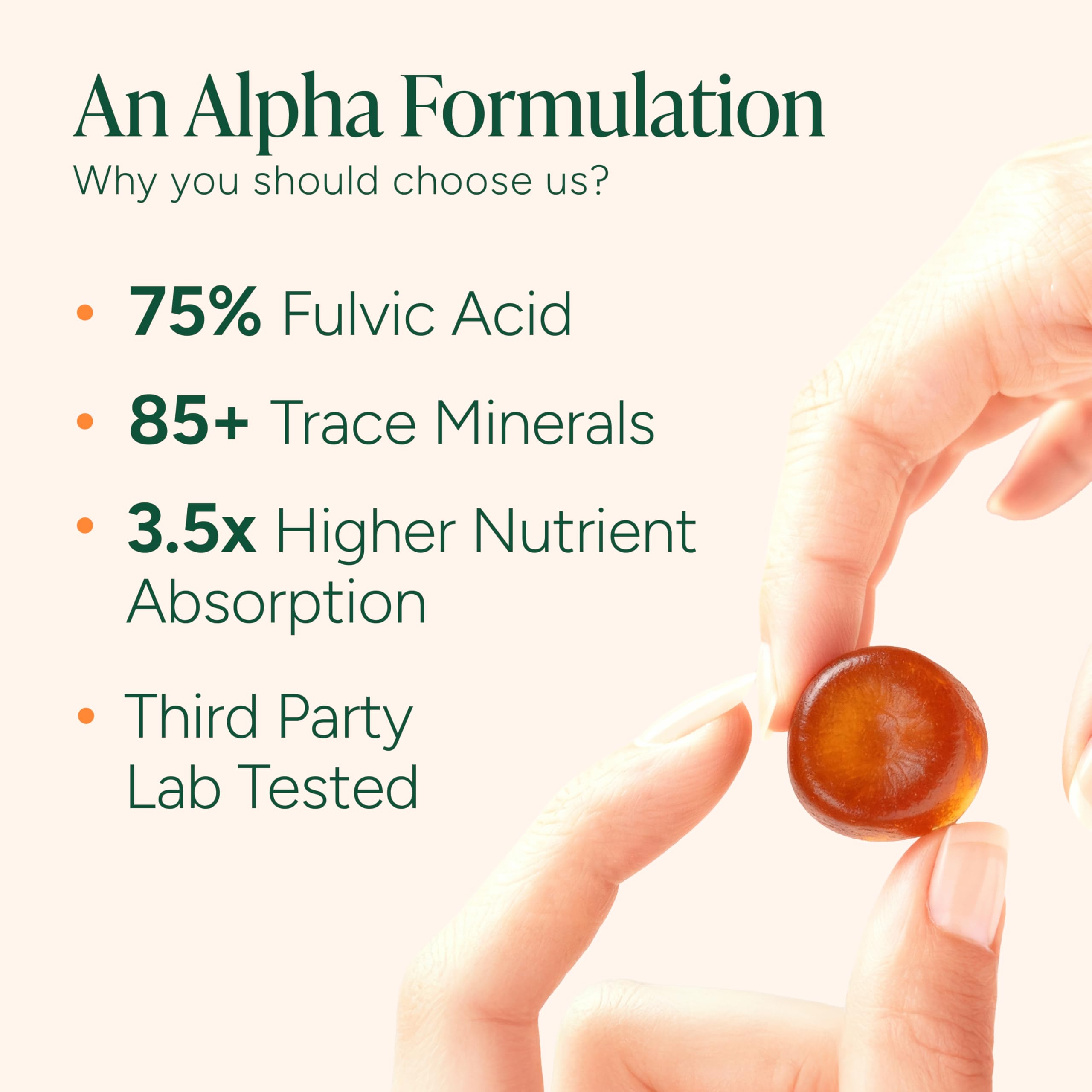 ROOT LABS 10-in-1 Alpha Shilajit Gummies | 4000 mg Pure Himalayan Shilajit with Tongkat Ali & Maca Root | Shilajit for Men & Women | ShilAbsorb Bioavailability Tech
