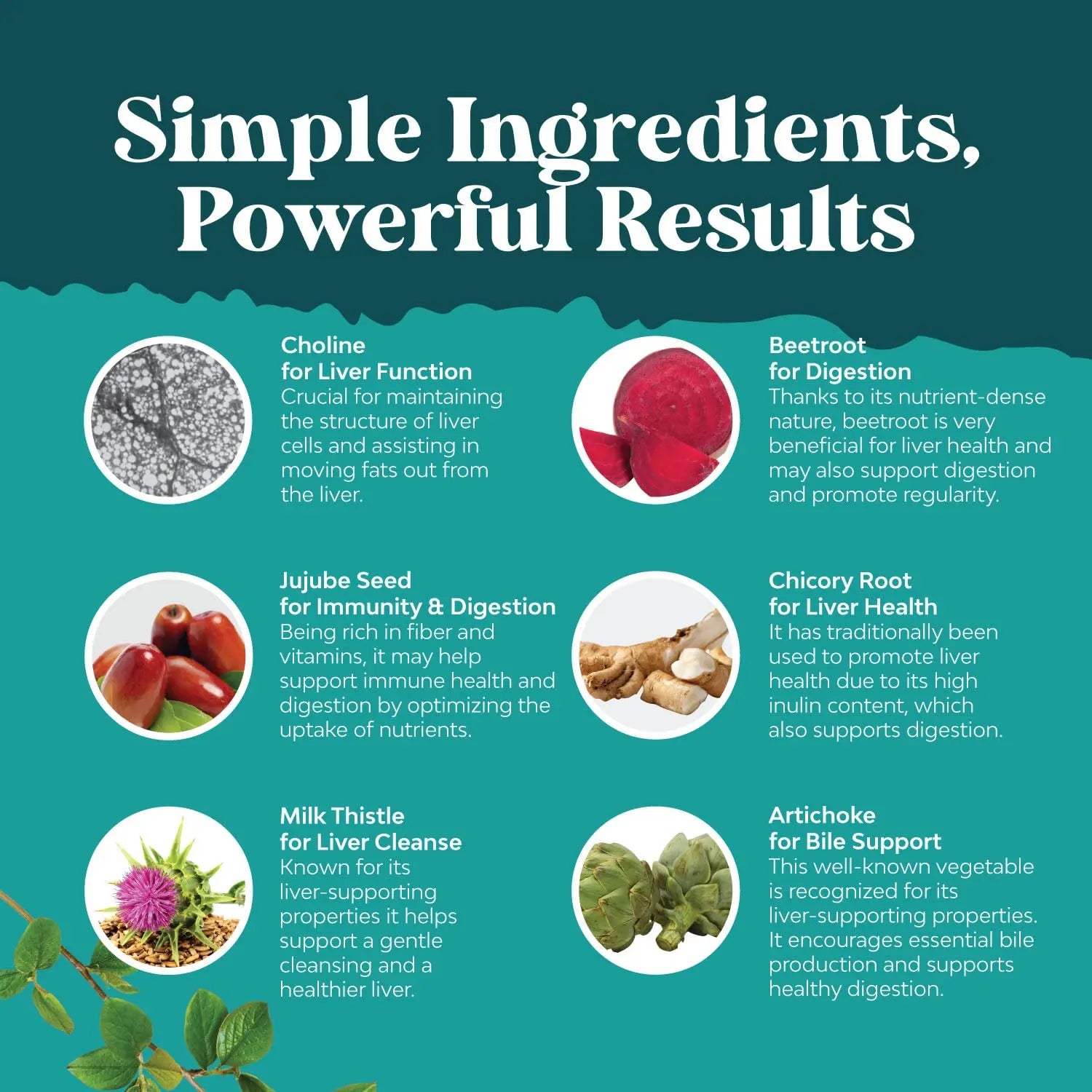 Liver Cleanse Detox & Repair Formula - Herbal Liver Support Supplement Natures Craft Au supplements