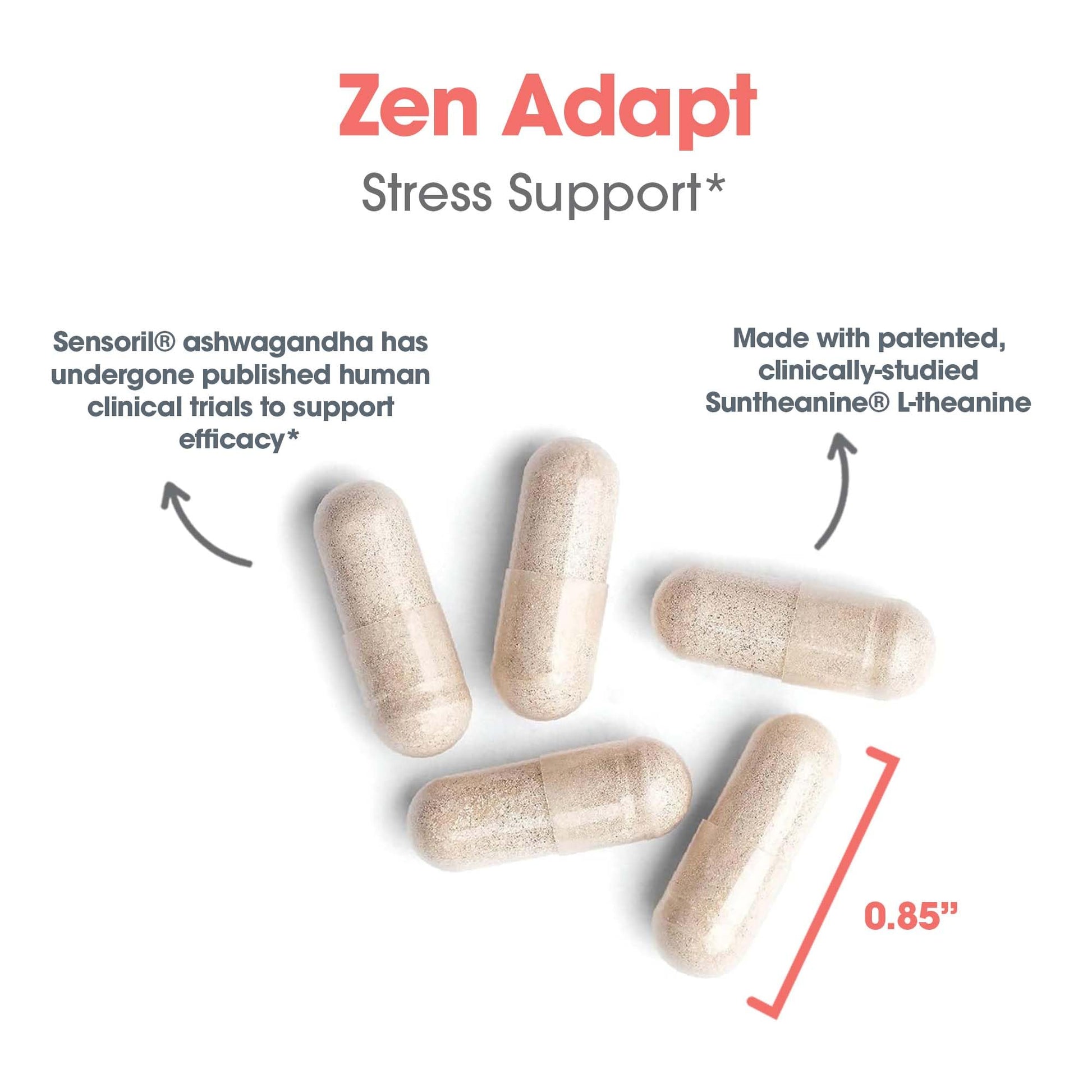 ARG Zen Adapt - 200 mg L-Theanine, 125 mg Ashwagandha & 550 mg GABA - Supports Stress Response and Calmness - Vegetarian Capsules - Hypoallergenic Formula - 30 Servings - 60 Capsules Allergy Research Group Au supplements