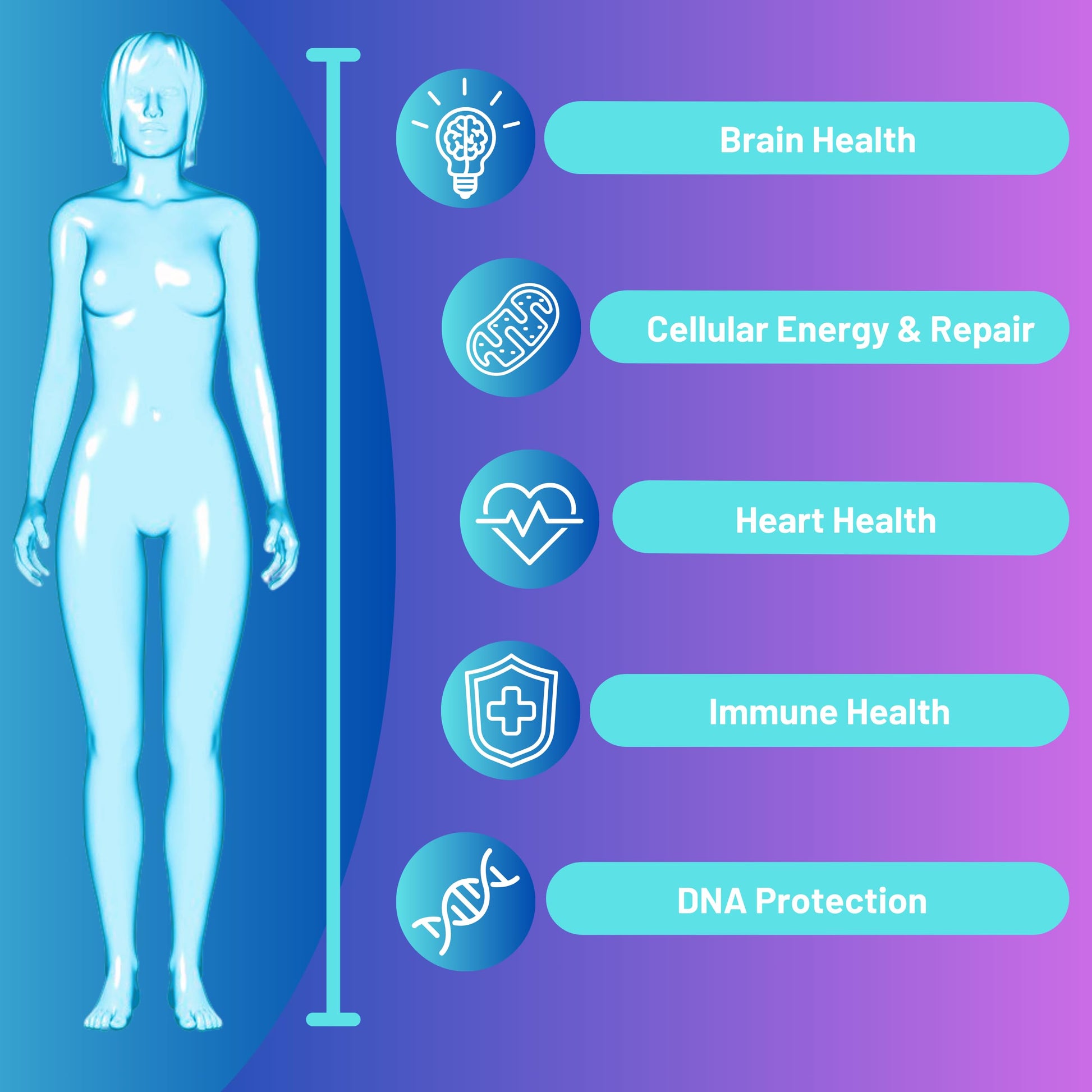 Advanced Bionetix NAD Supplement with Nicotinamide Riboside Plus Resveratrol, Quercetin, Betaine w/RiboYOUNG™ for True Anti Aging Advanced Bionetix Au supplements